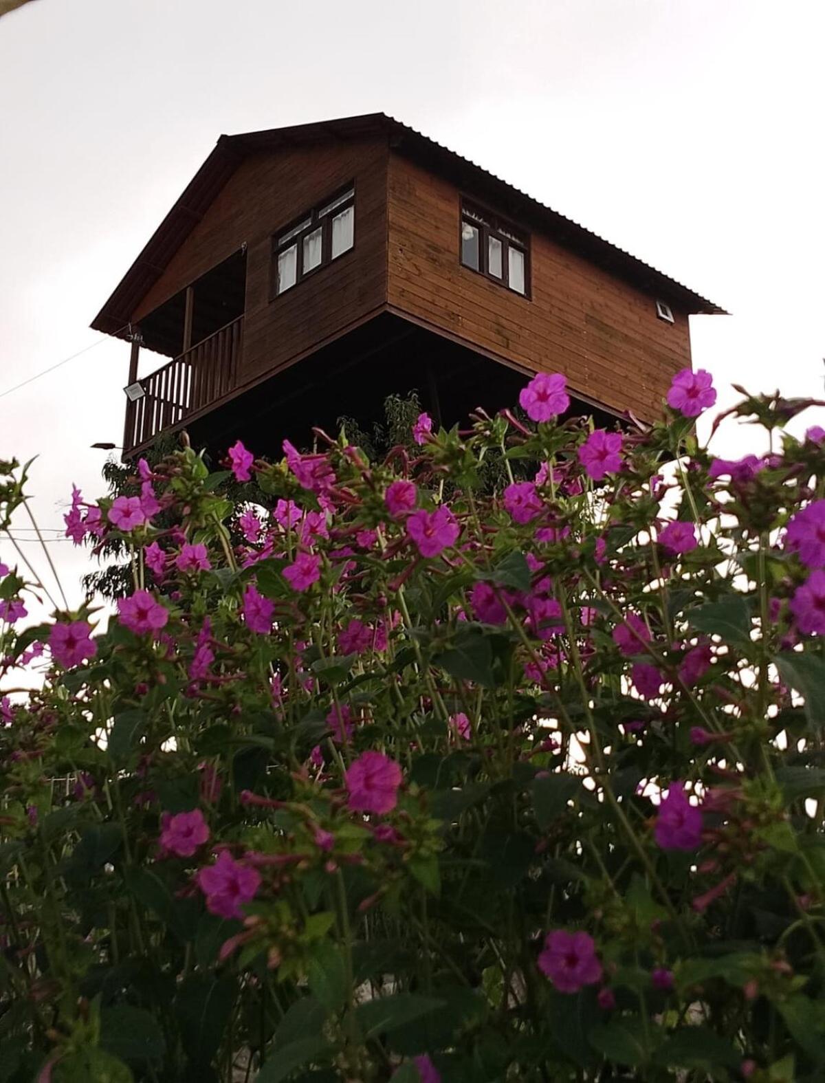 Trini Treehouse By GEstores