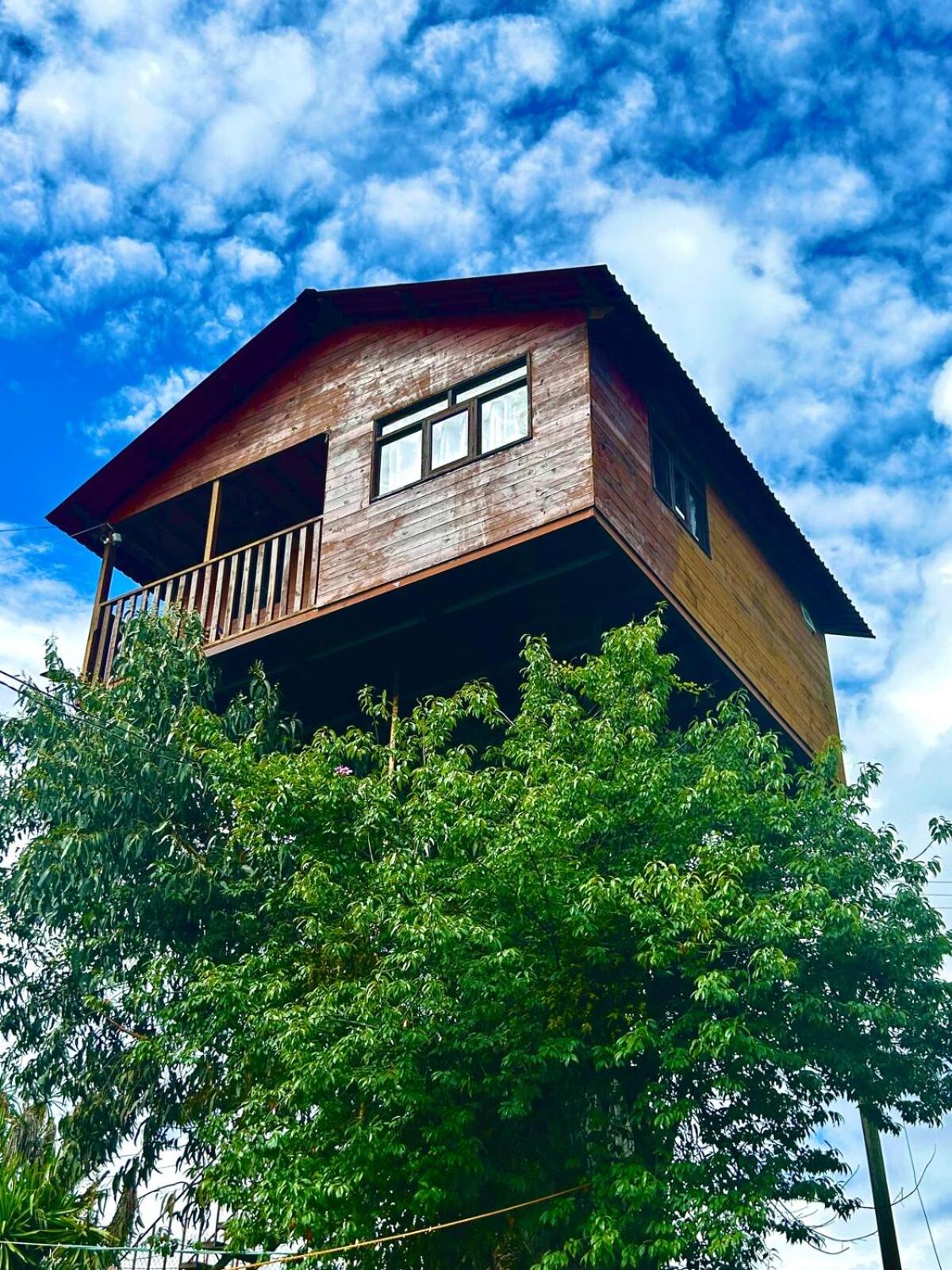 Trini Treehouse By GEstores