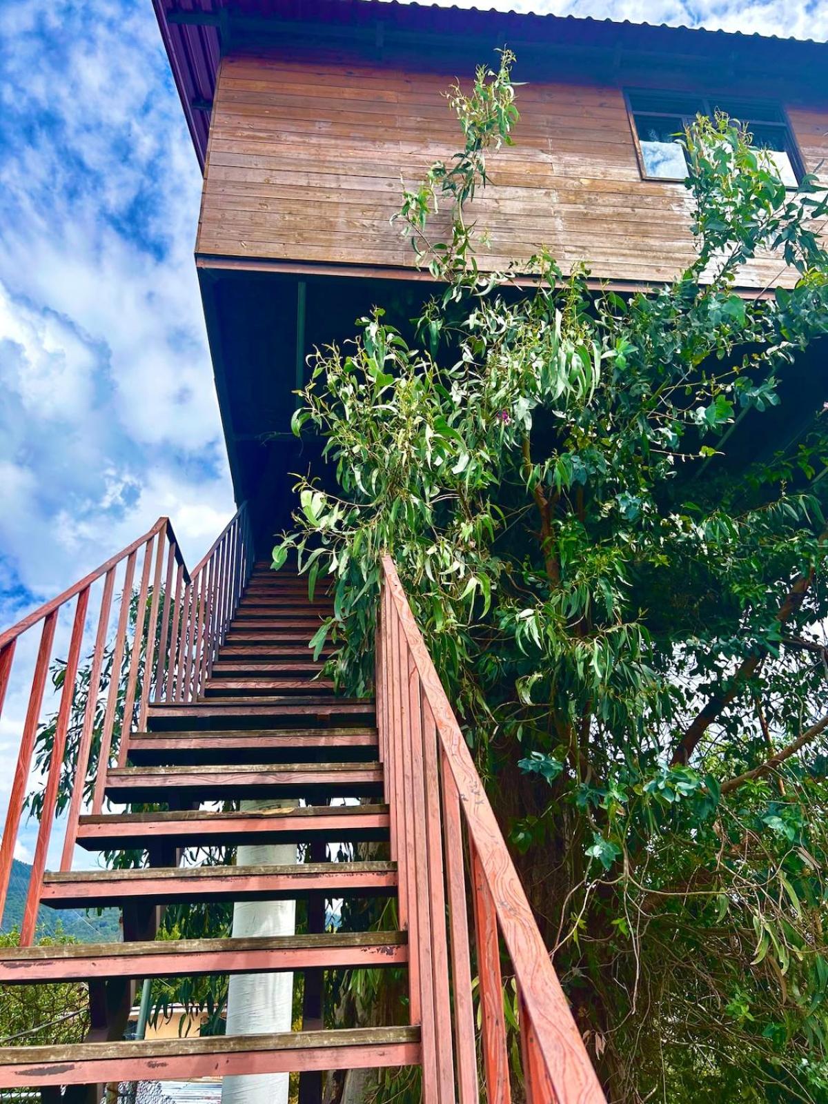 Trini Treehouse By GEstores