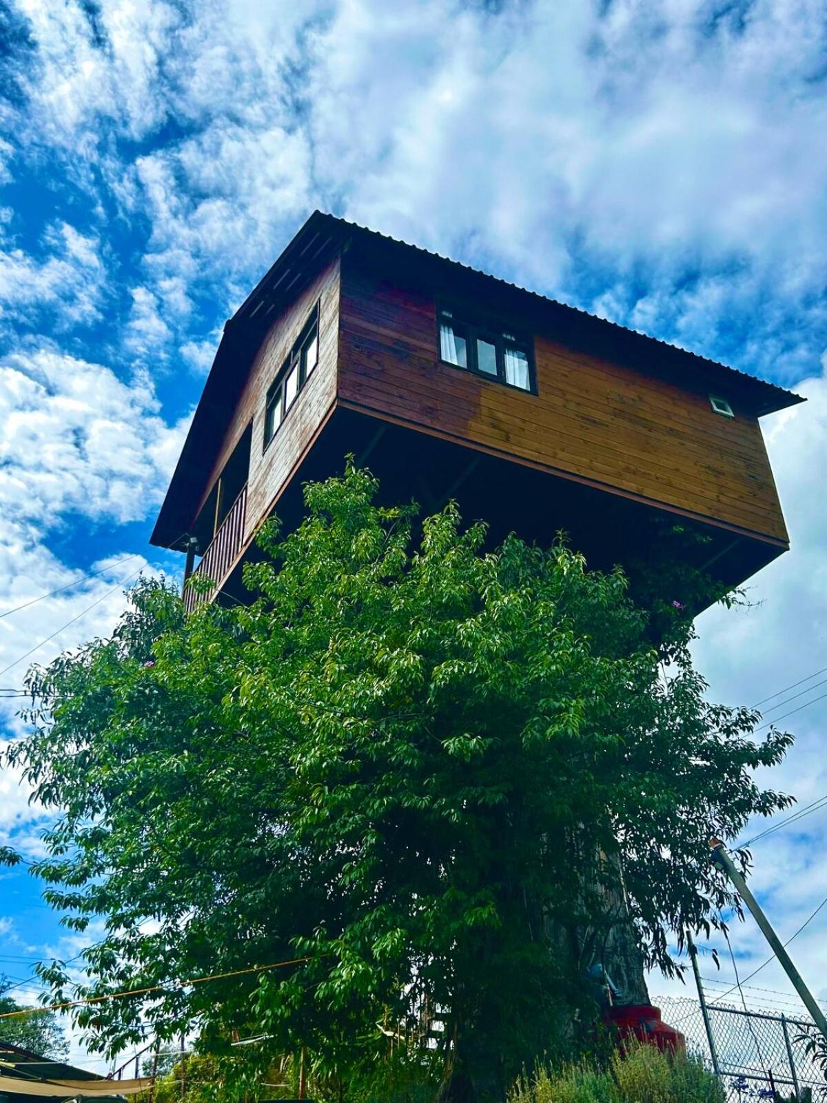 Trini Treehouse By GEstores