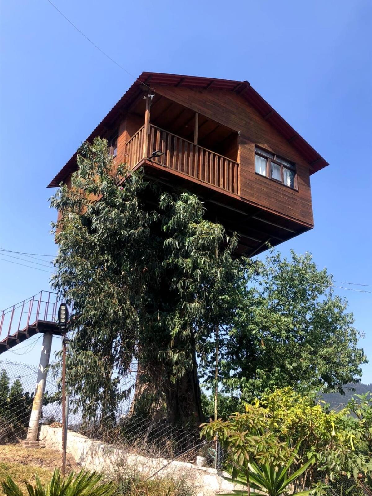 Trini Treehouse By GEstores