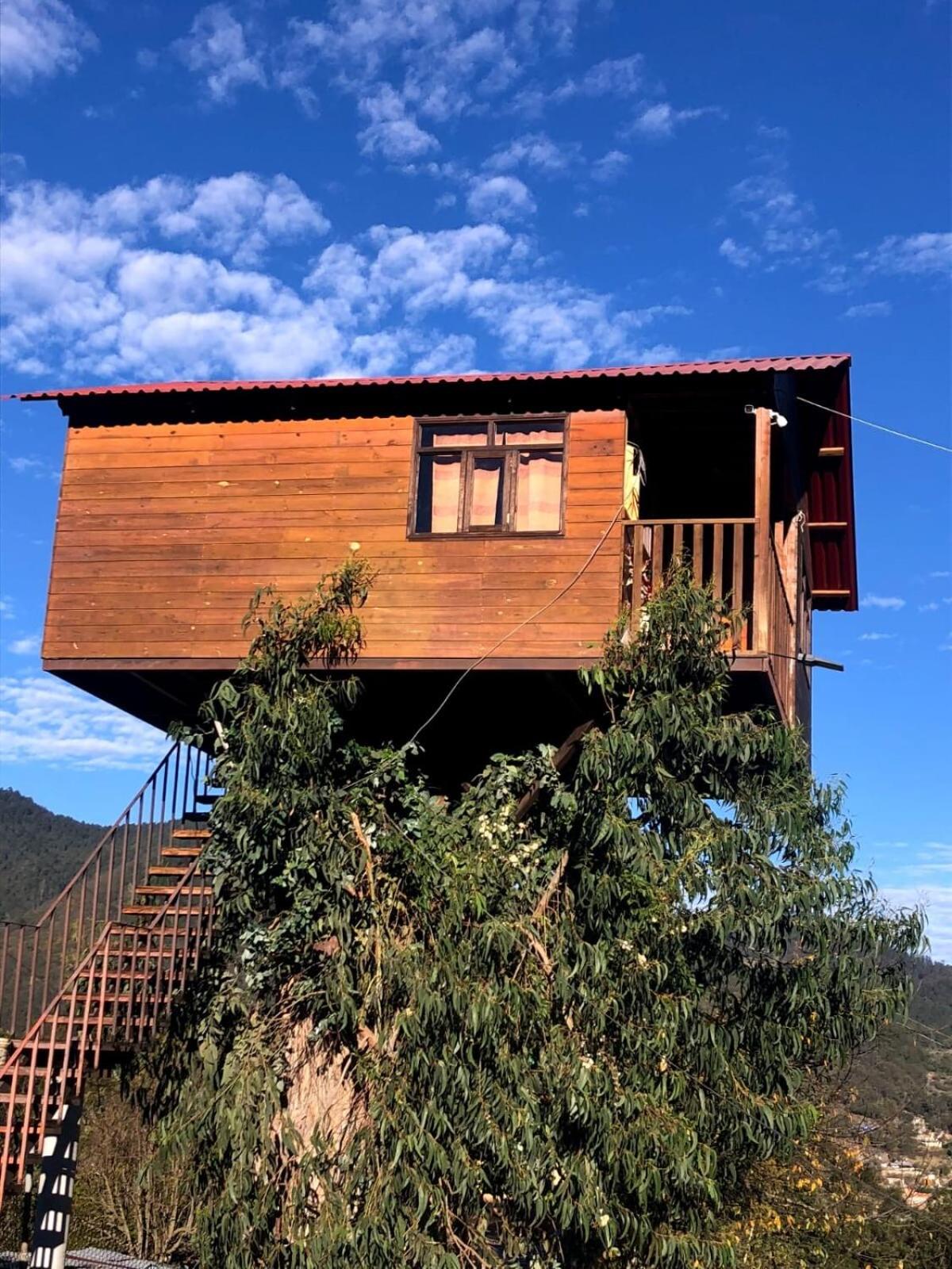 Trini Treehouse By GEstores