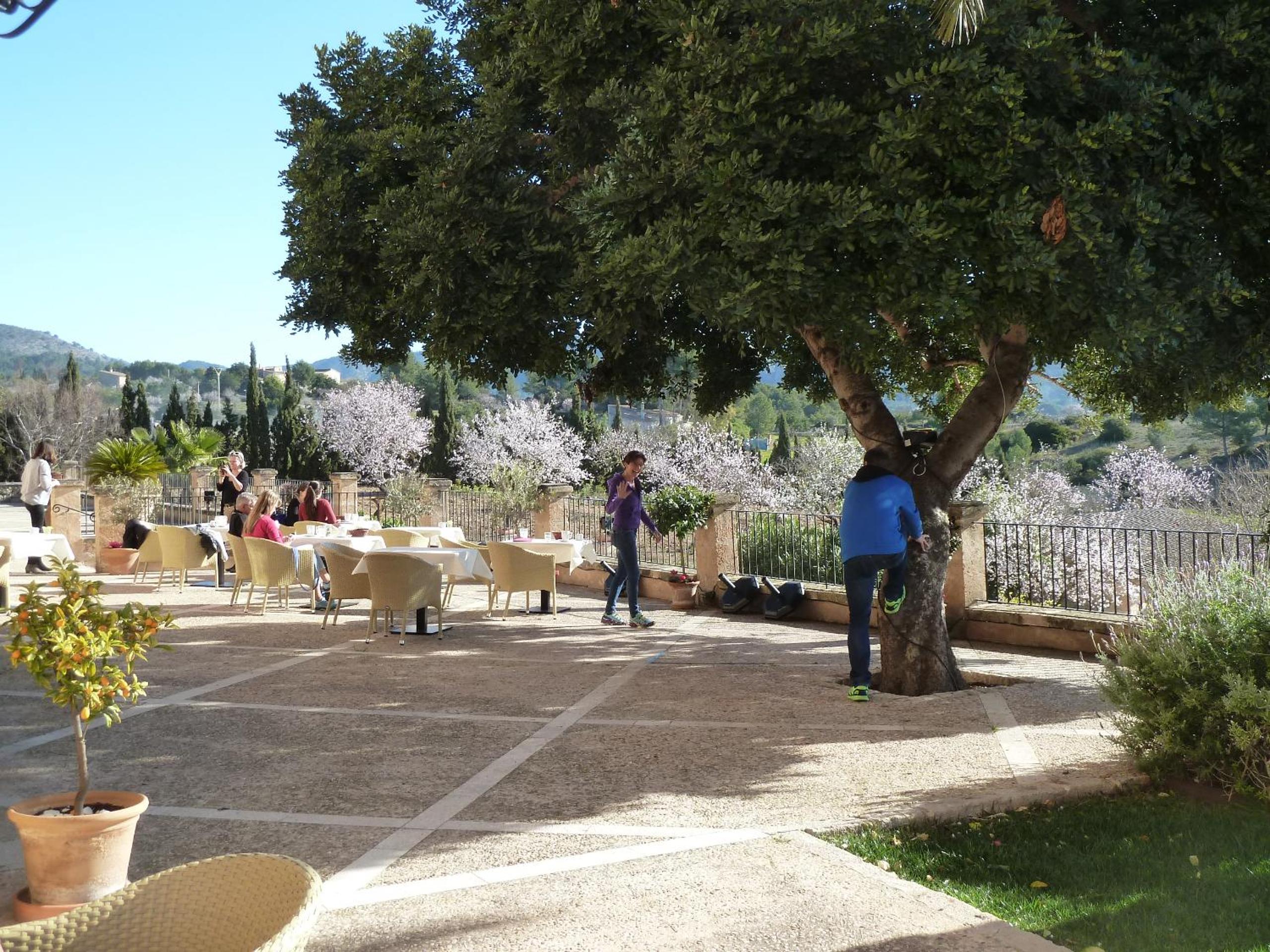 Finca Can Estades