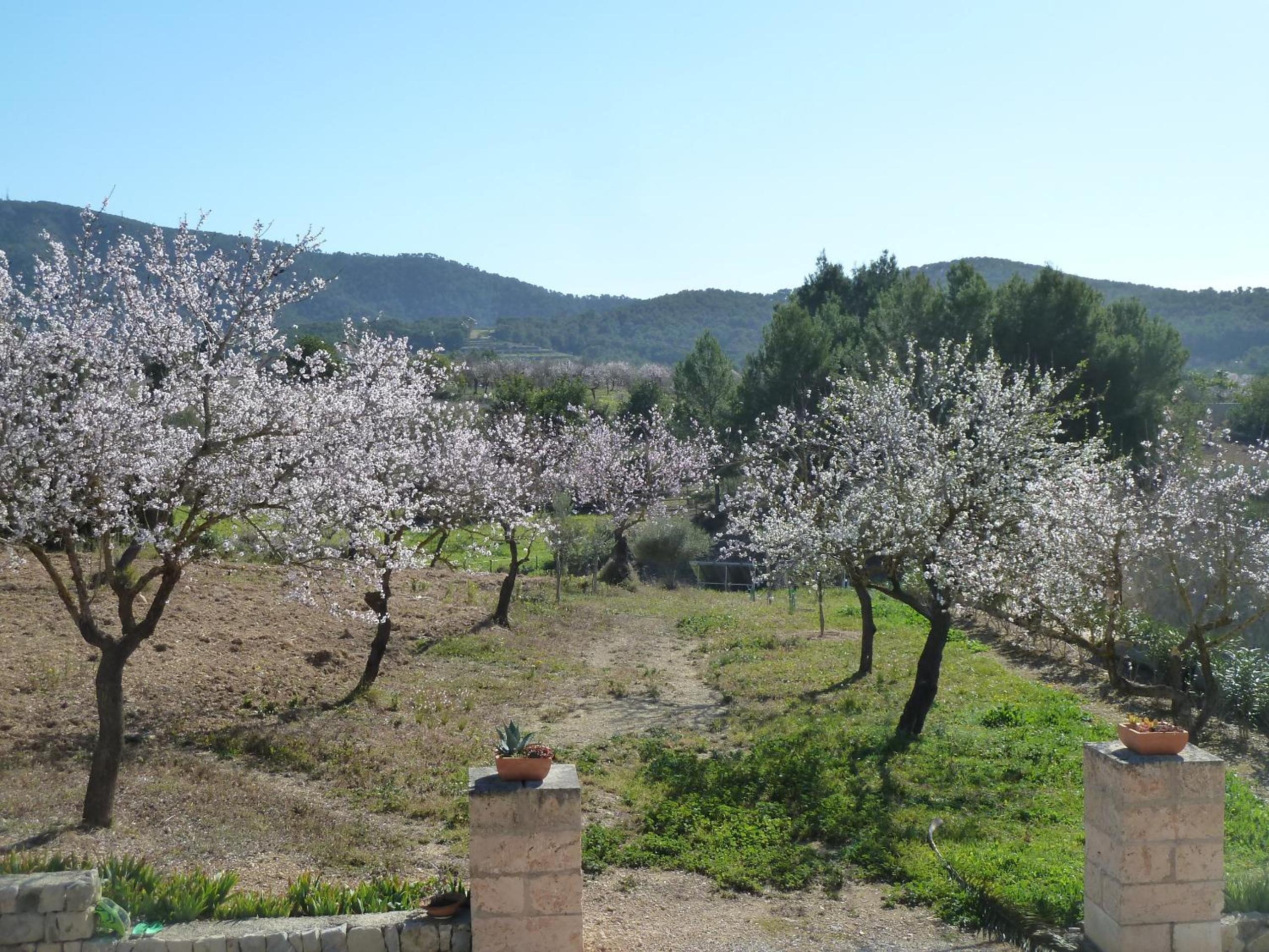 Finca Can Estades