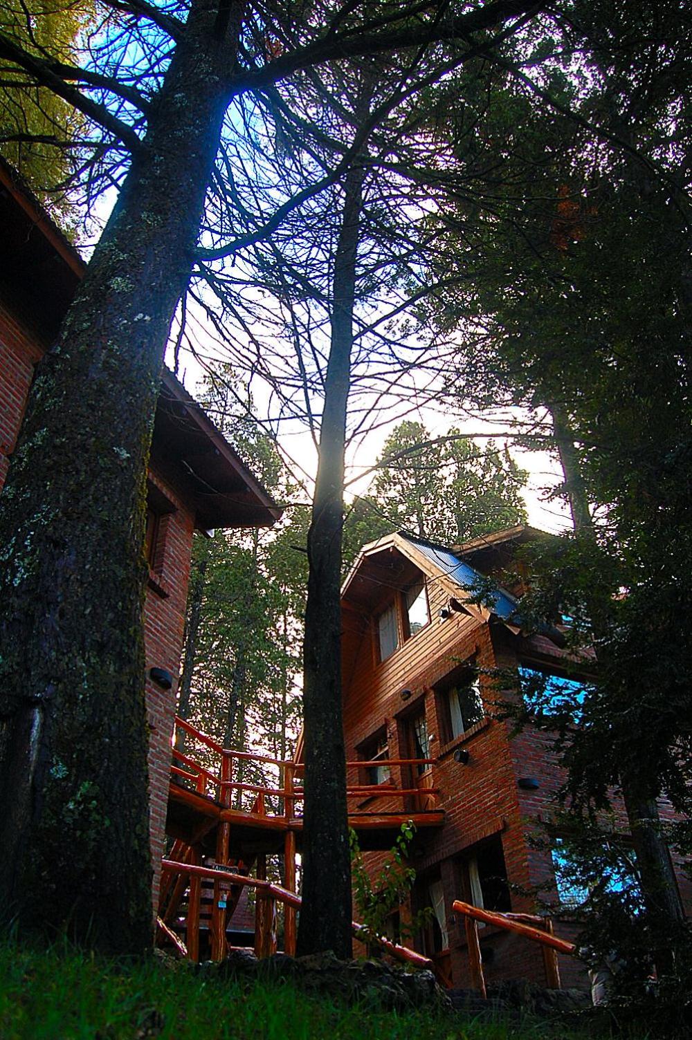 Cabañas Detras del Ciprés