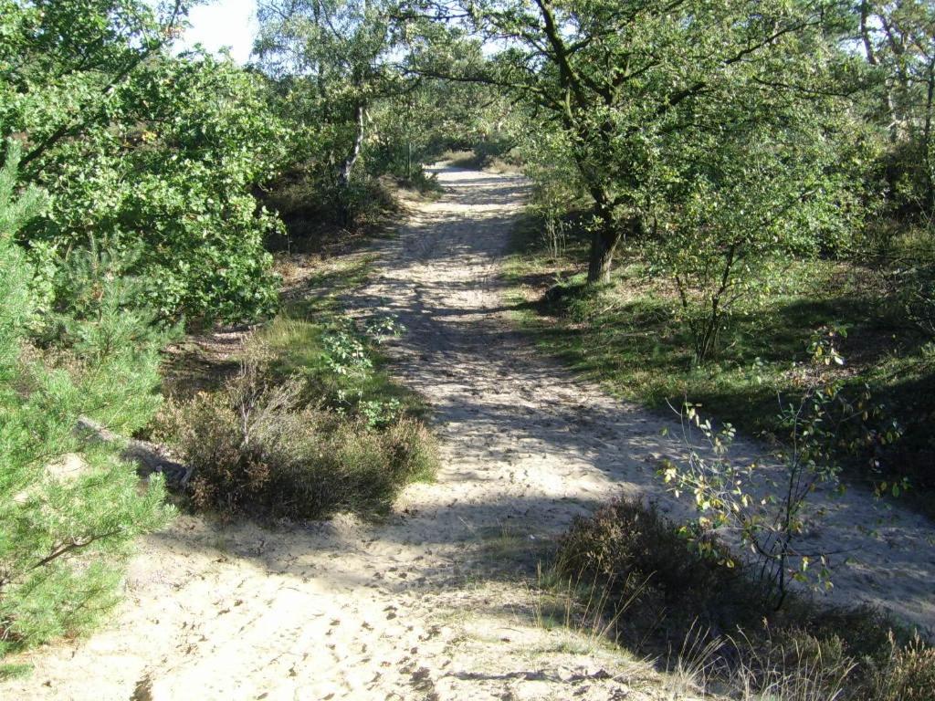 Bosbeekvallei