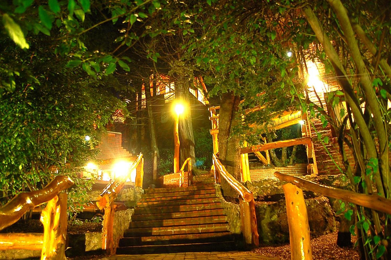 Cabañas Detras del Ciprés