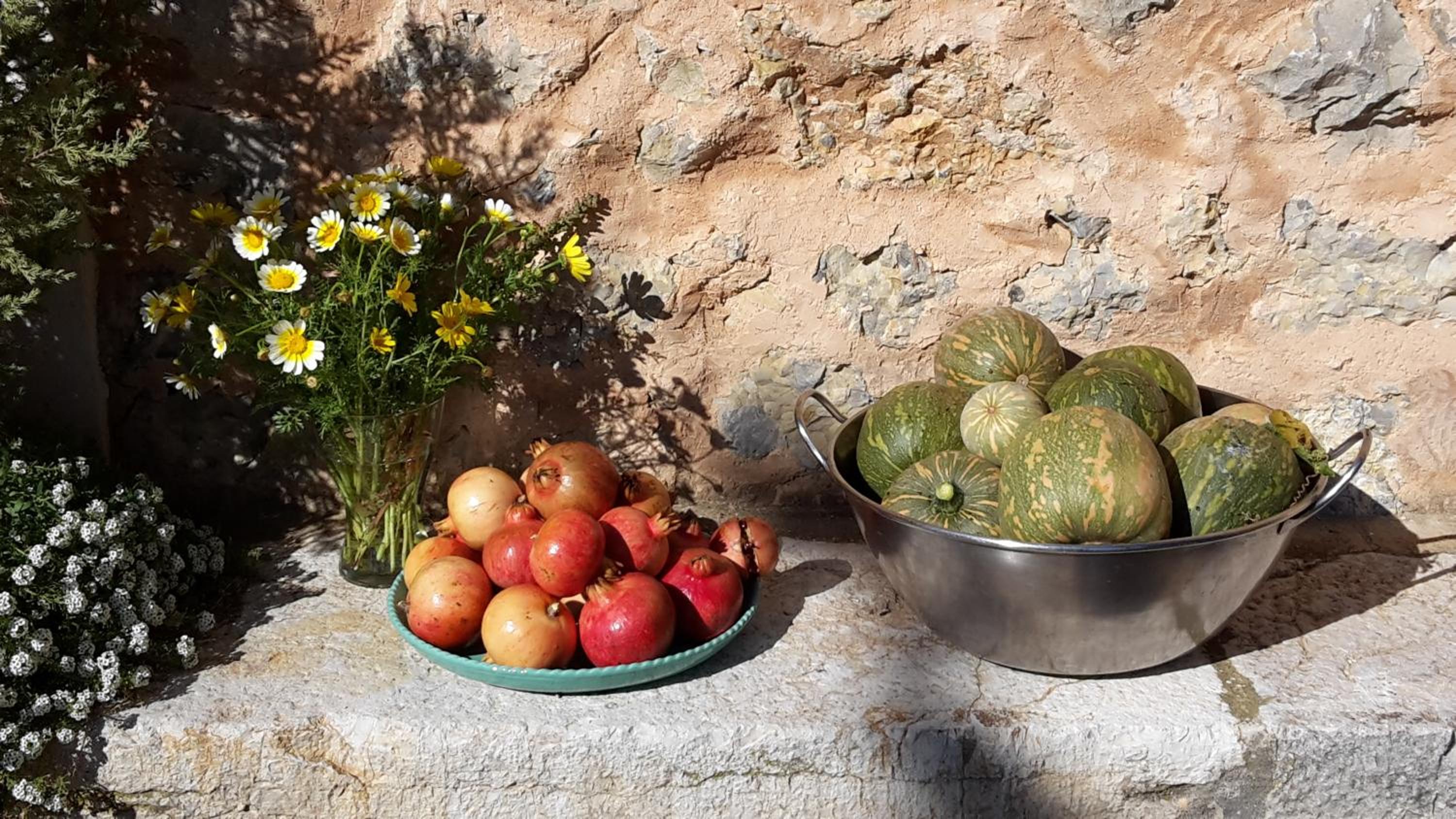 Finca Can Estades