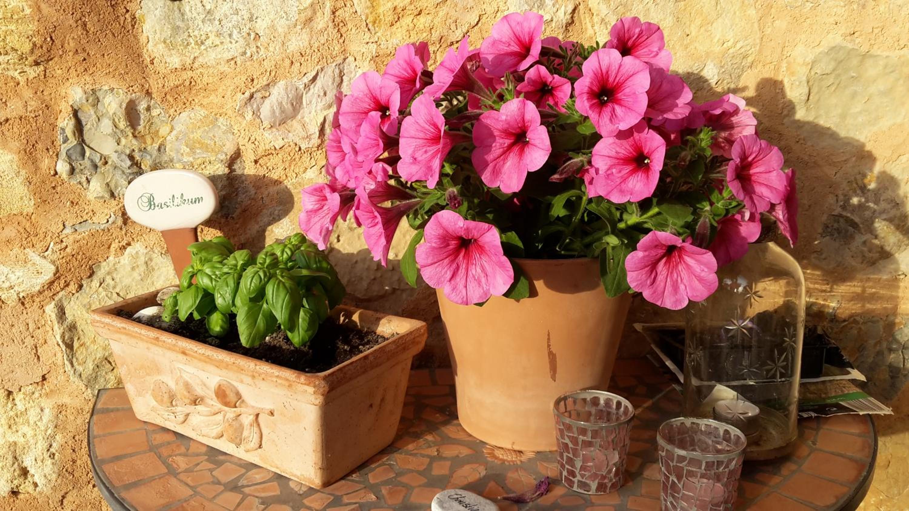 Finca Can Estades