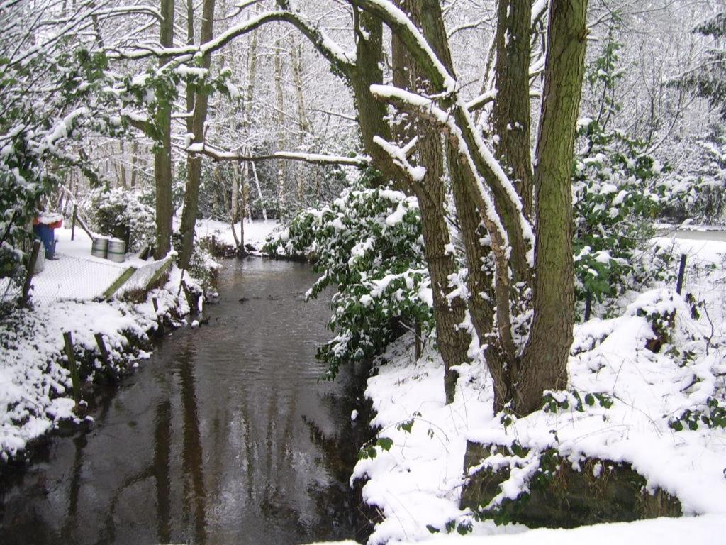 Bosbeekvallei
