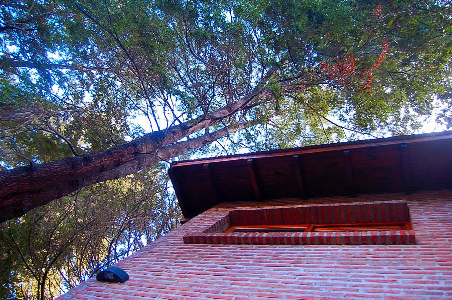 Cabañas Detras del Ciprés