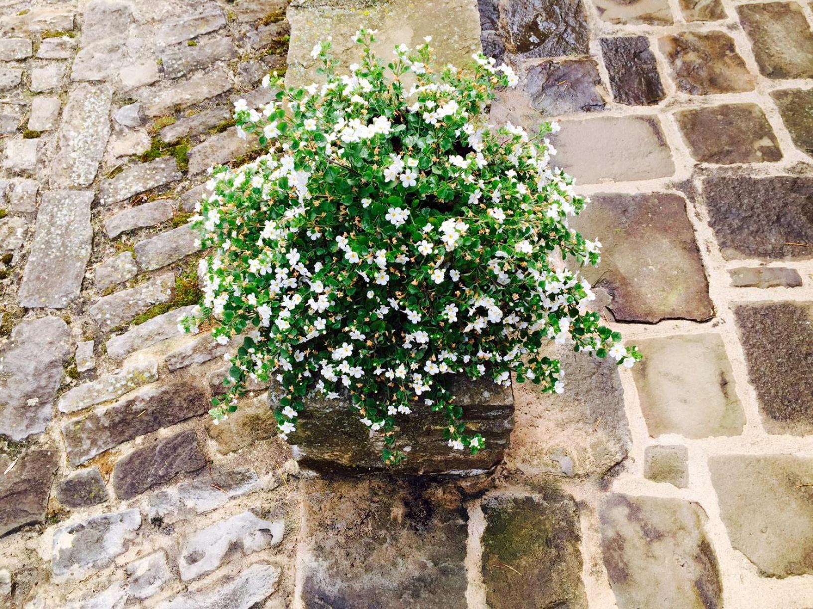 Photo 47