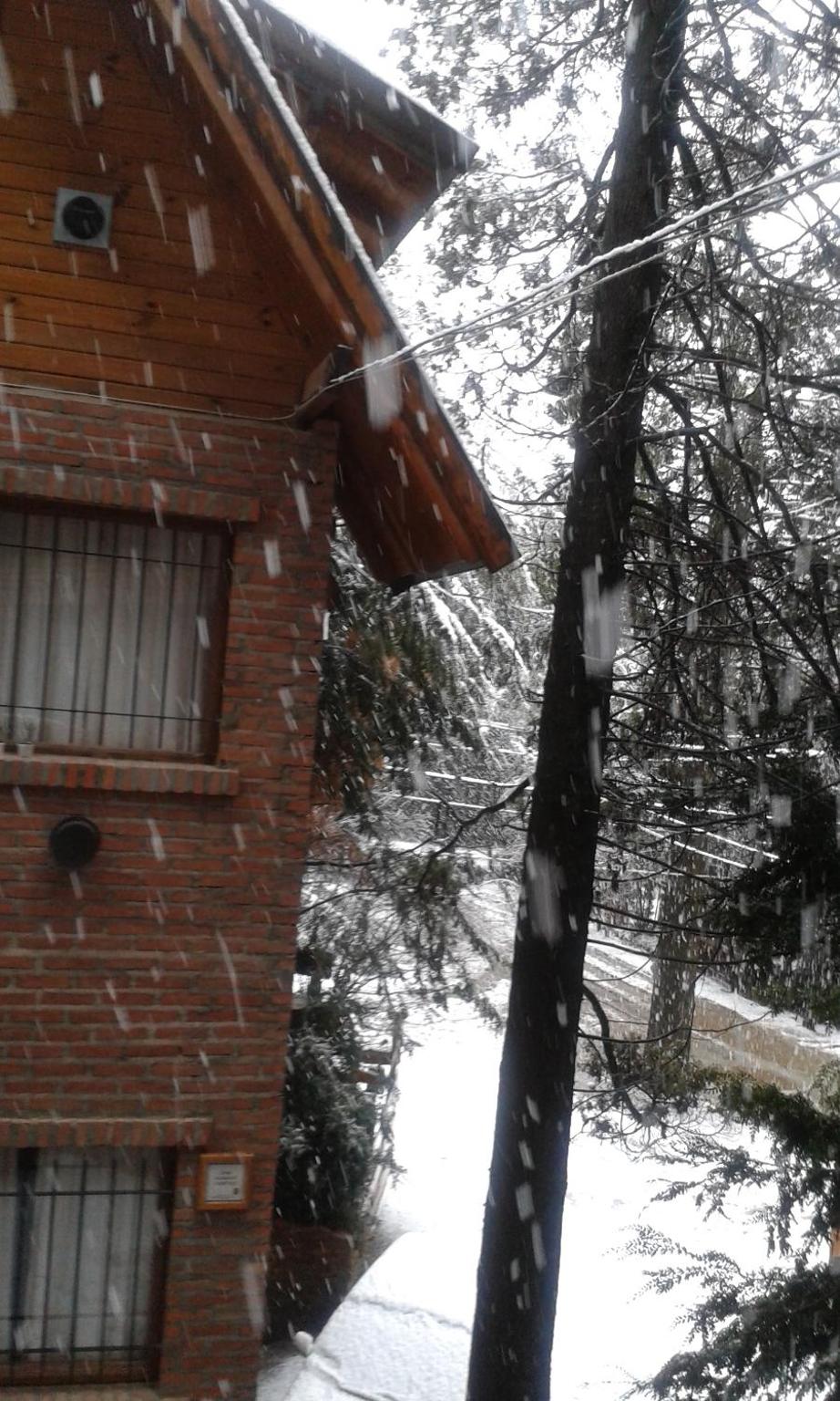 Cabañas Detras del Ciprés