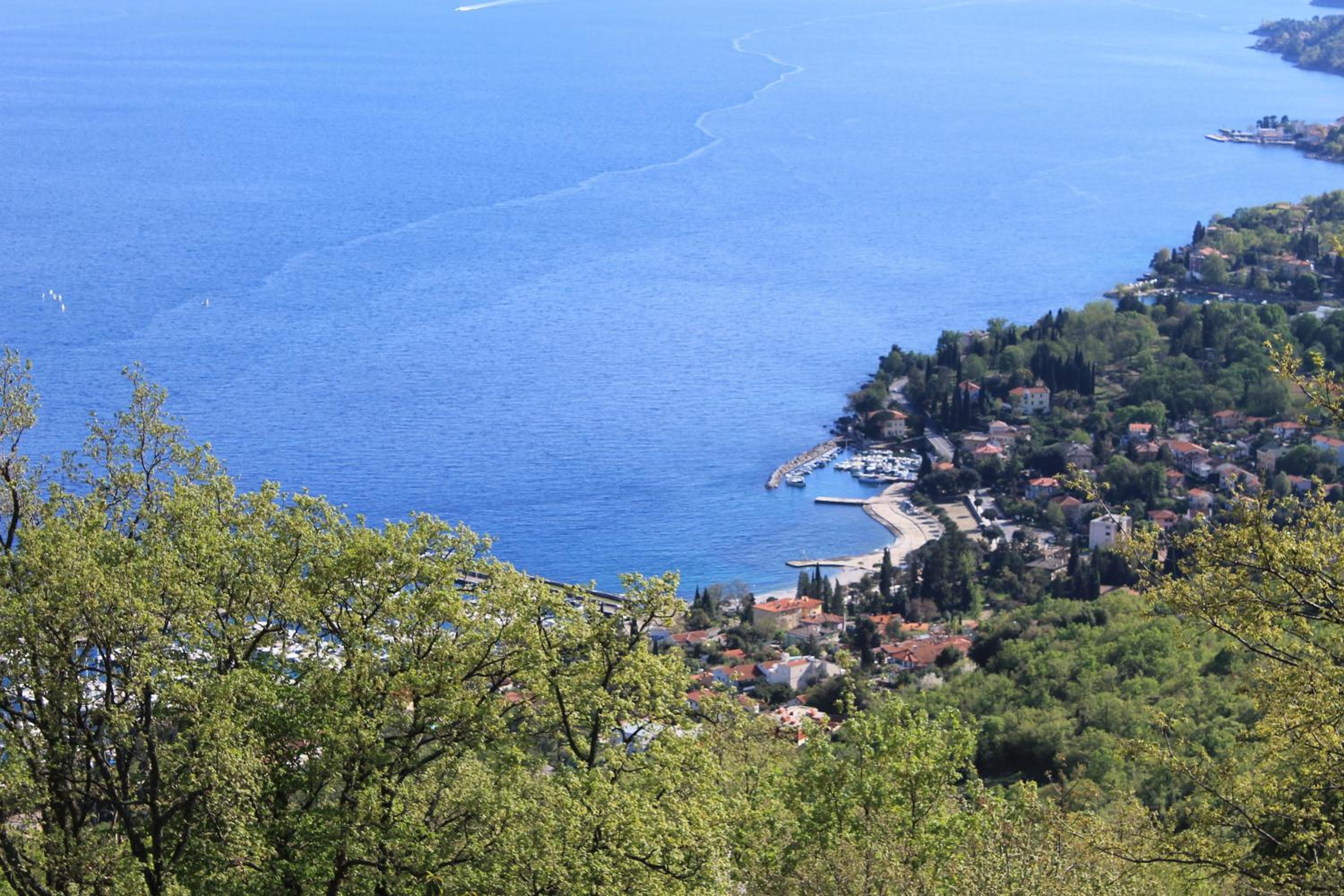 Photo 44