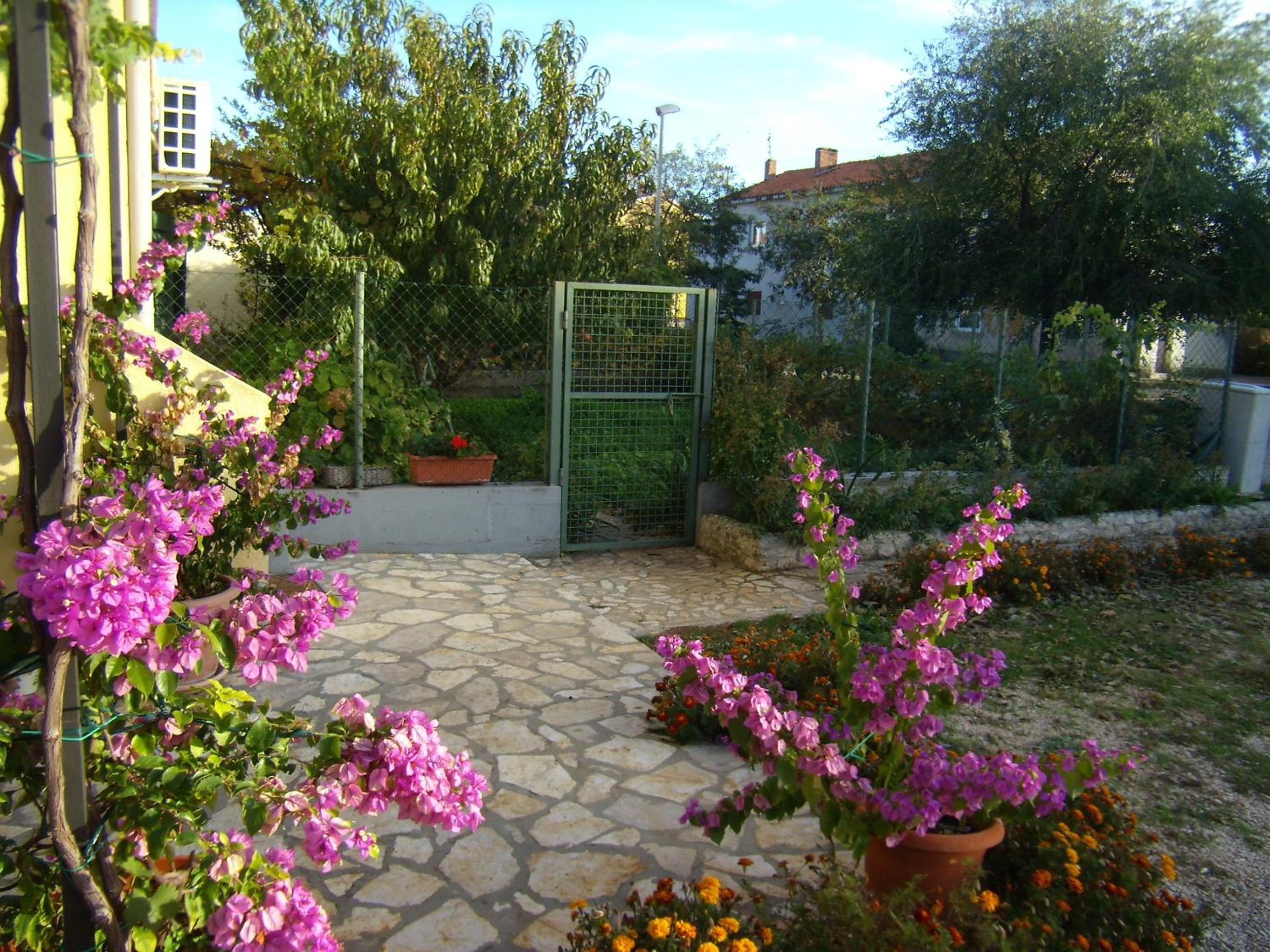 Photo 50