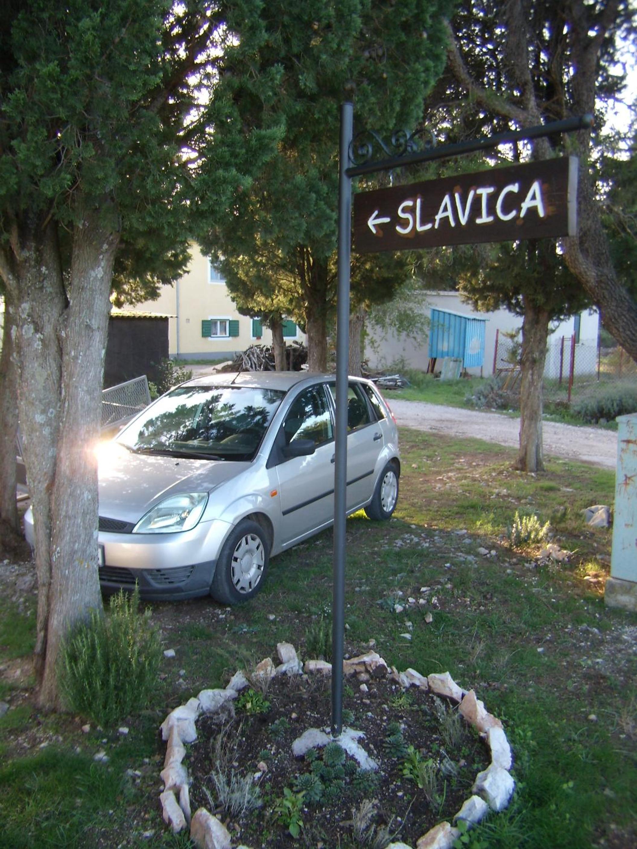 Photo 51
