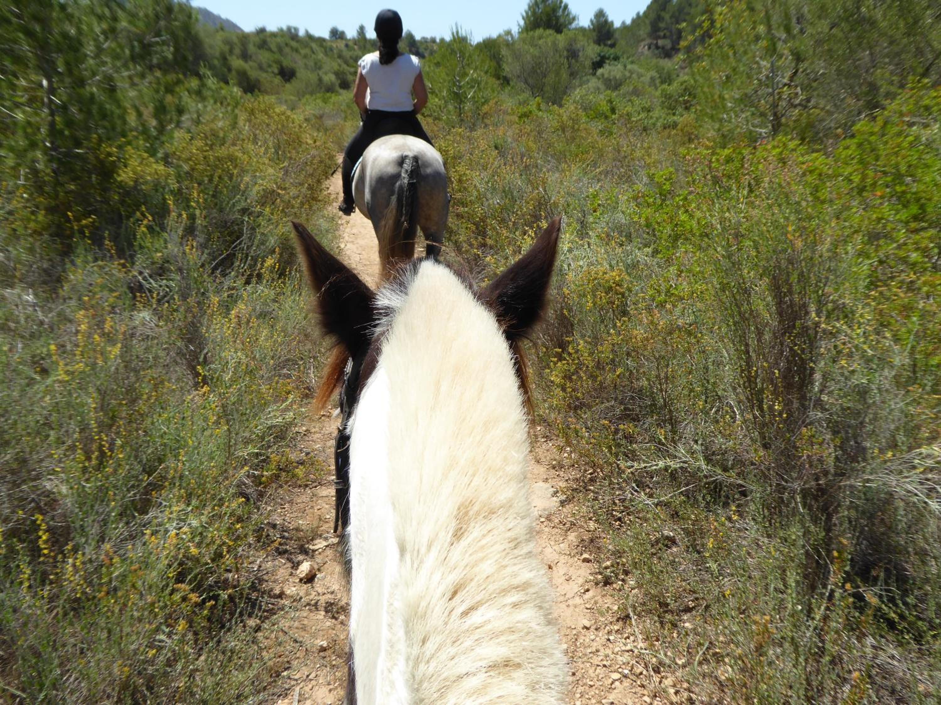 Finca Can Estades
