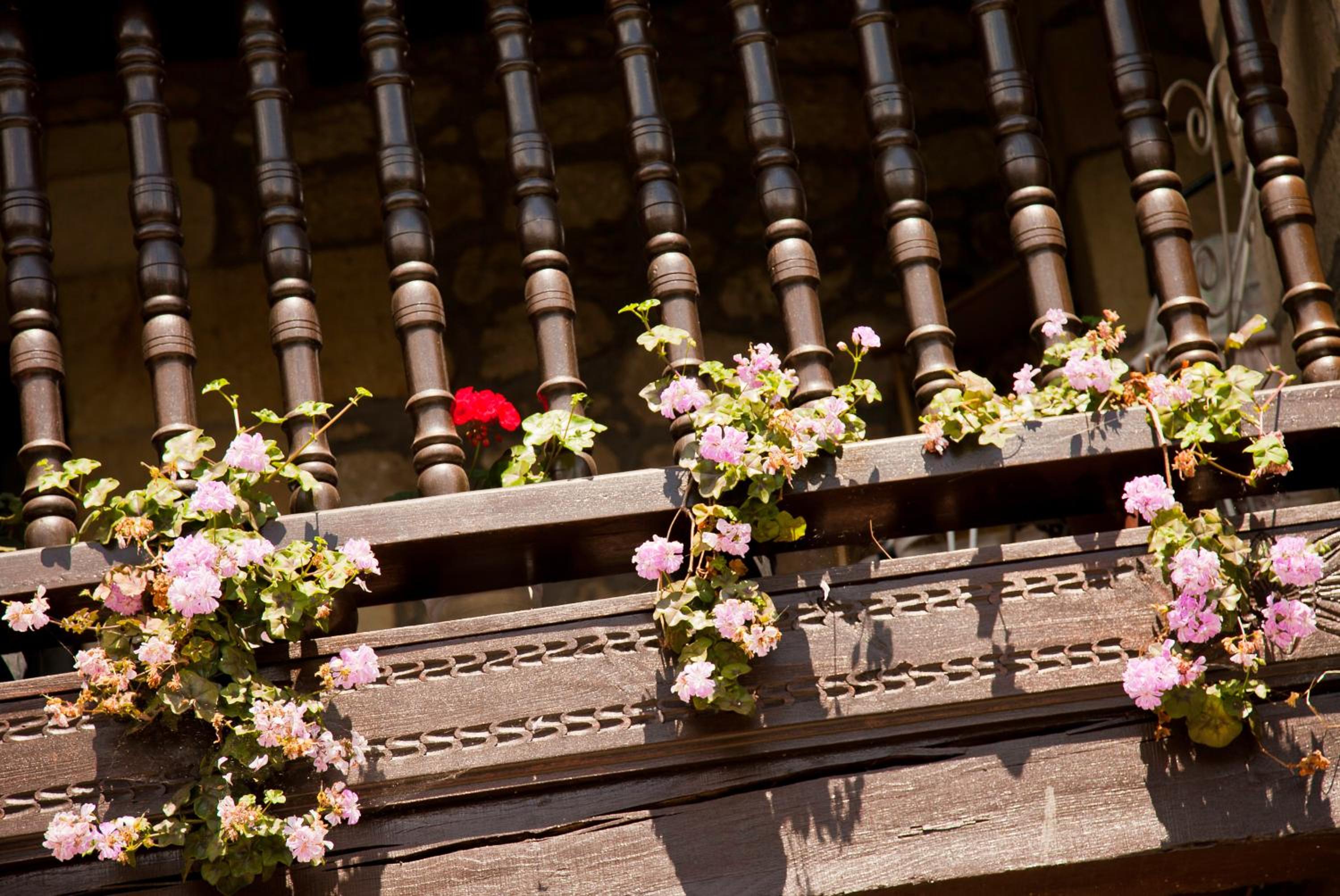Casa Velarde - Property Image 98