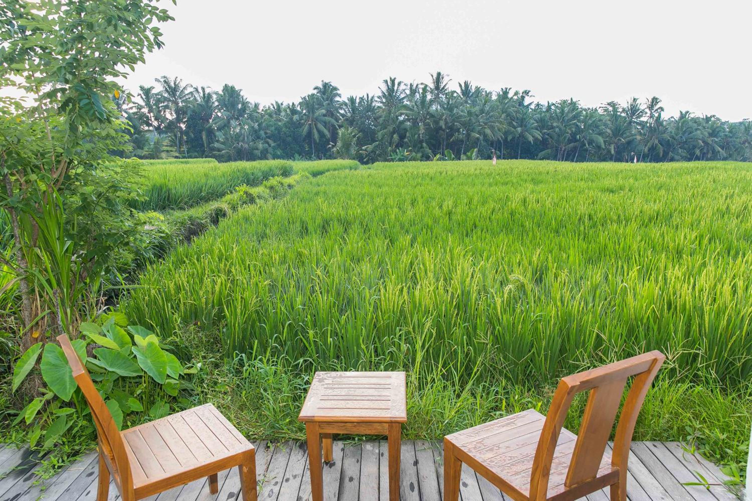 Solo Villas & Retreat
