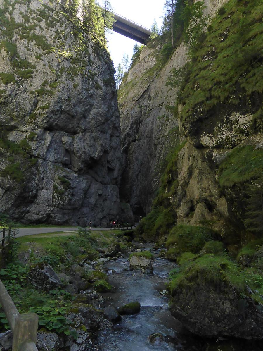 Photo 24