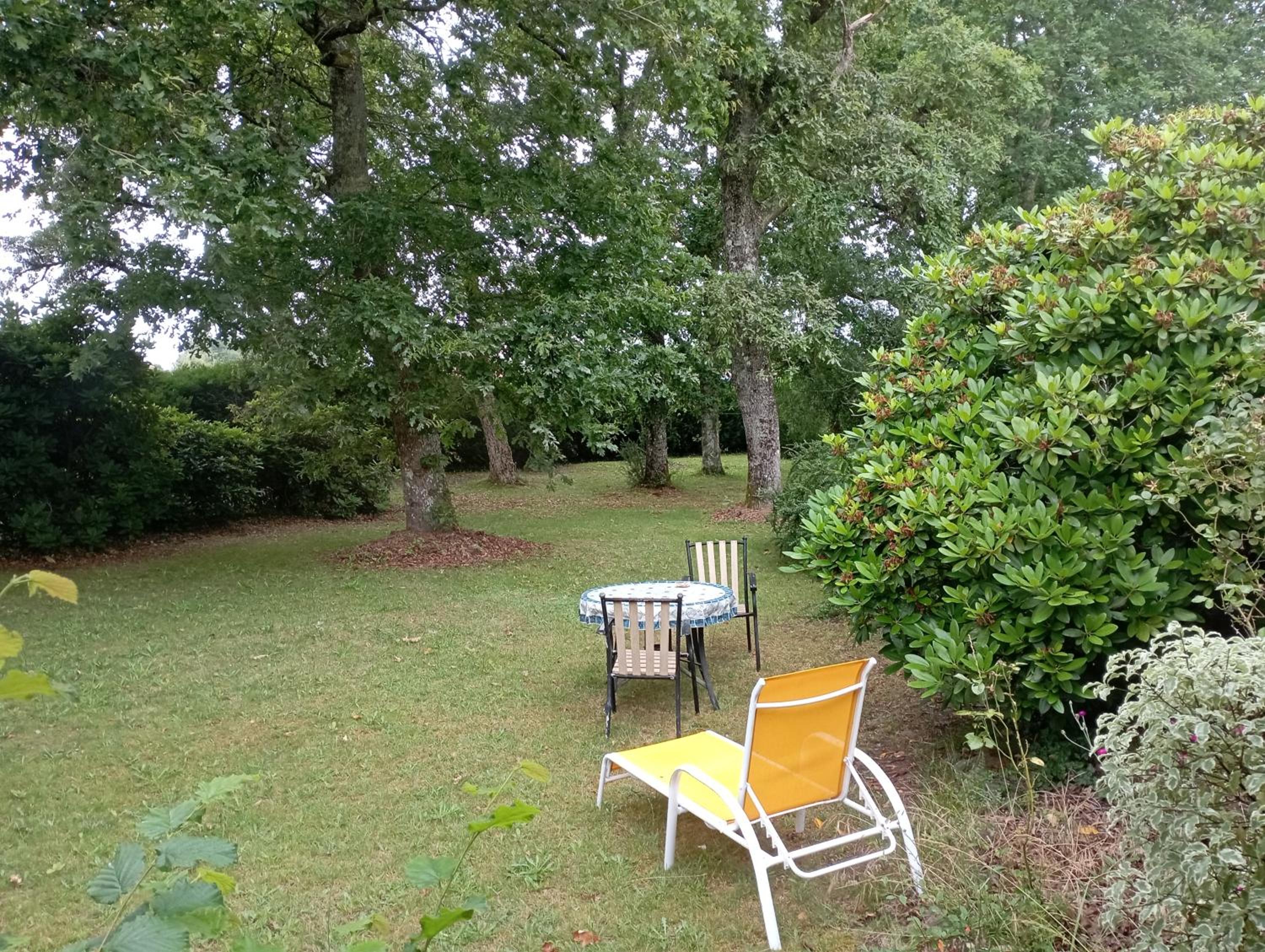 Charmant T1 avec jardin