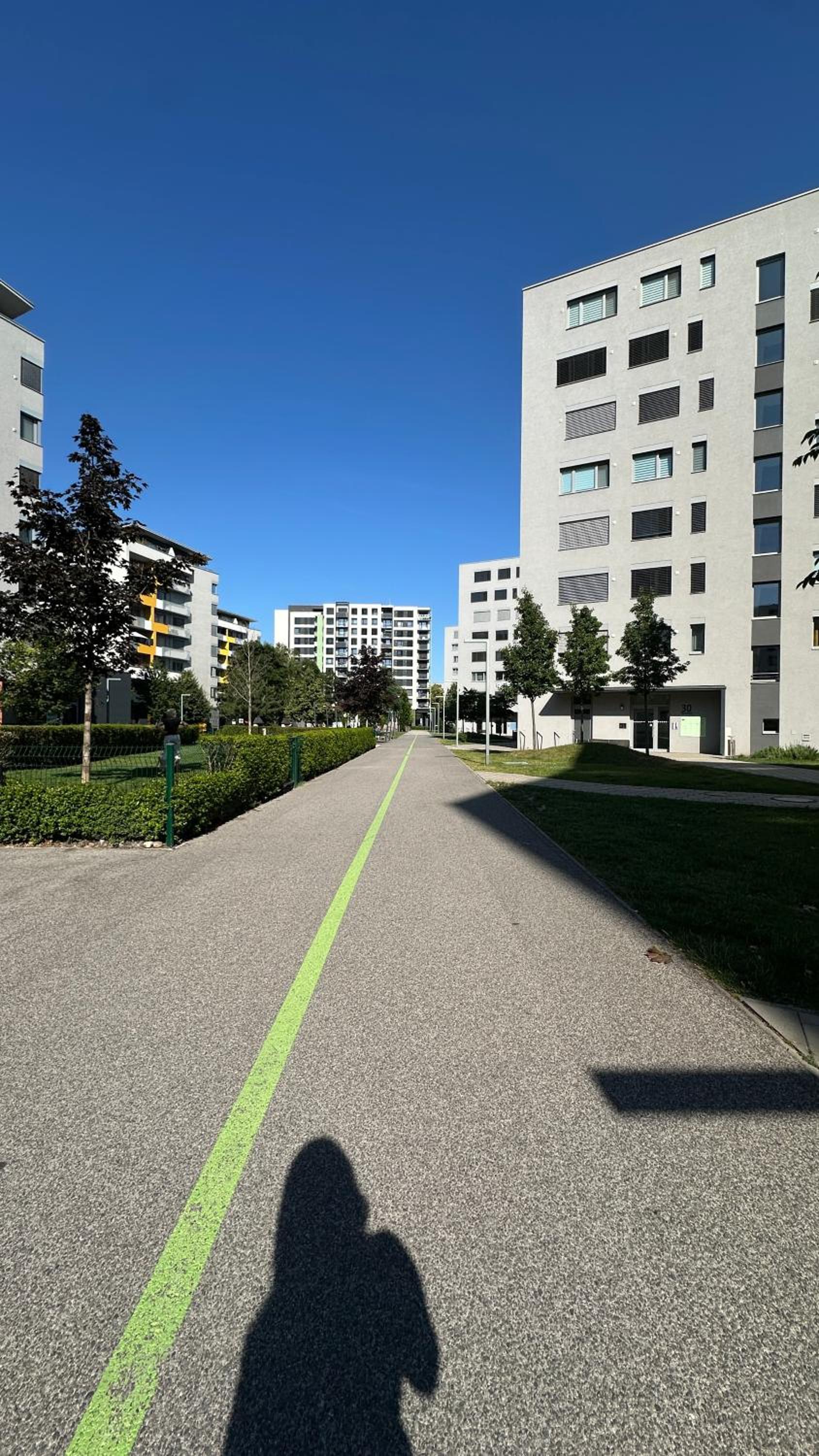 Magnolia Terrace Apart - FREE PARKING, Family & Sport Friendly Area