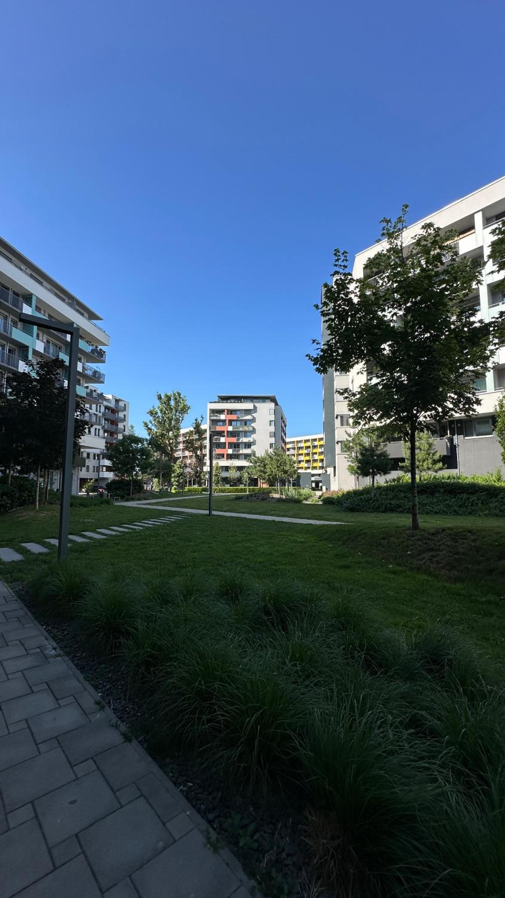 Magnolia Terrace Apart - FREE PARKING, Family & Sport Friendly Area
