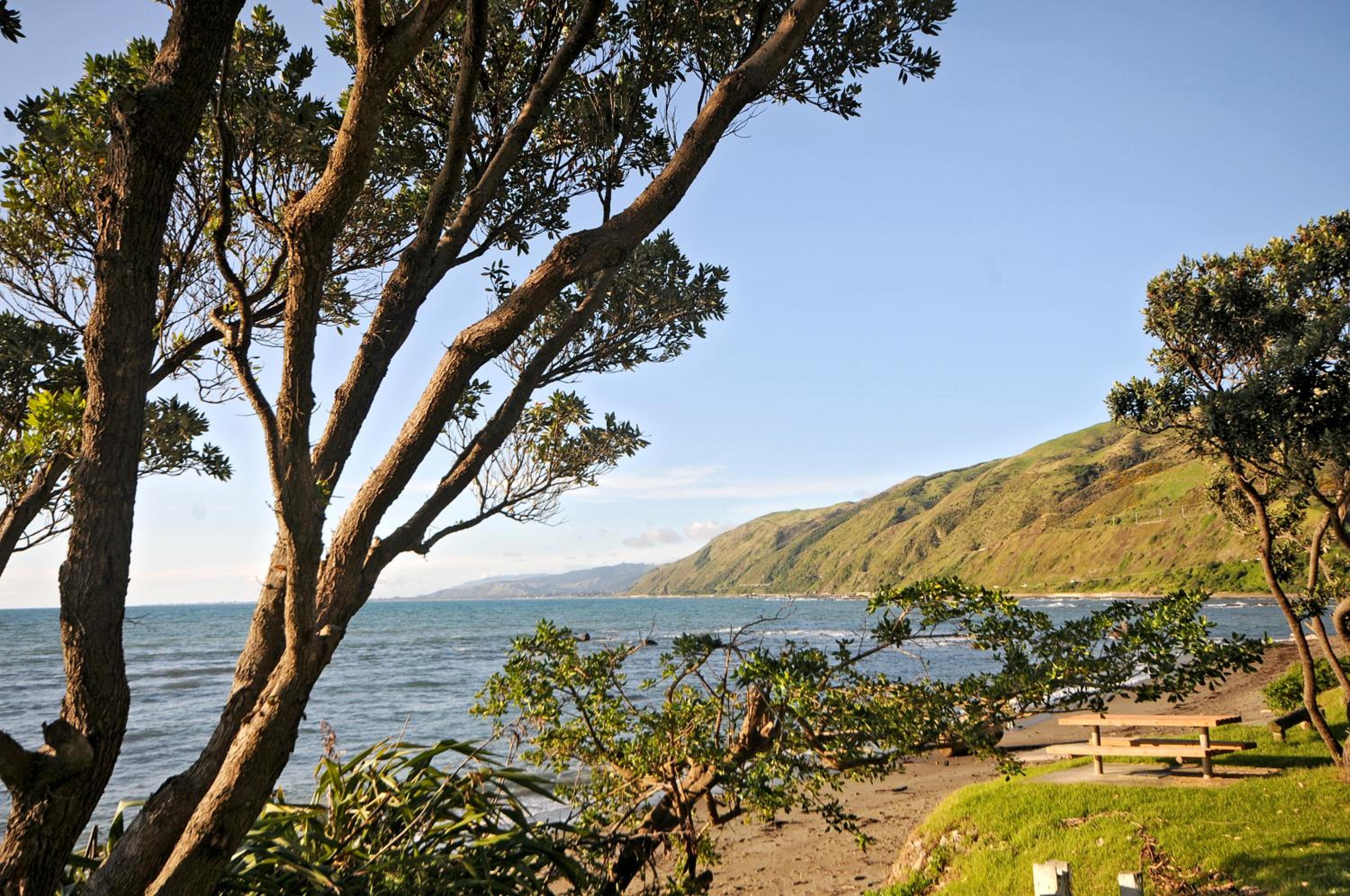 Kapiti Waves Bed & Breakfast