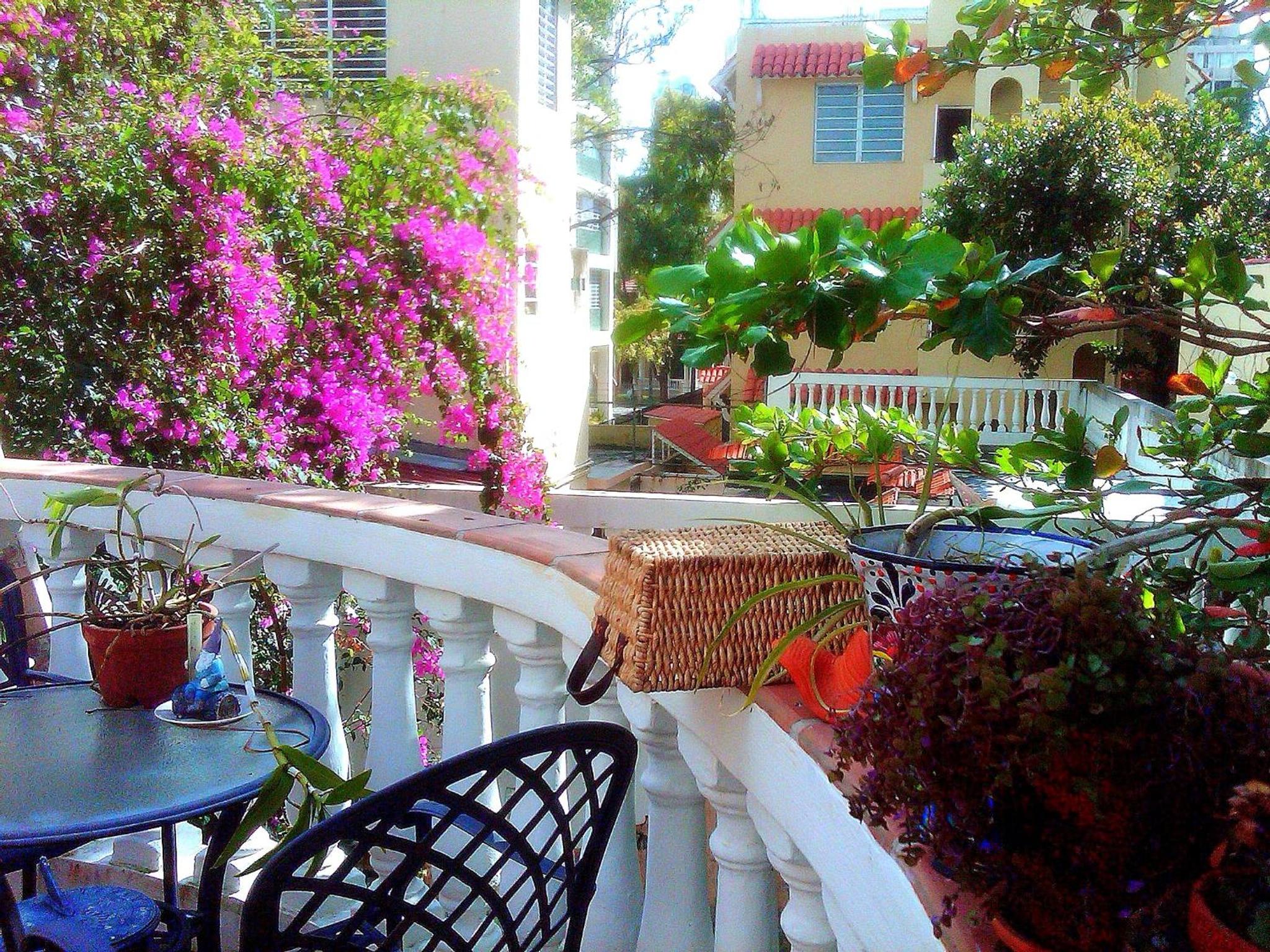 Canario Boutique Hotel - Property Image 40
