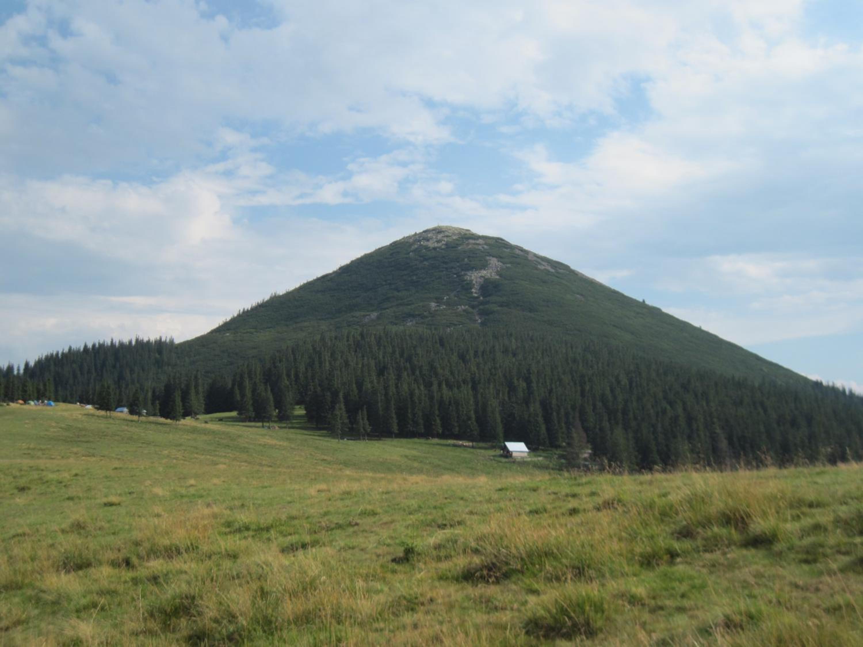 Photo 47