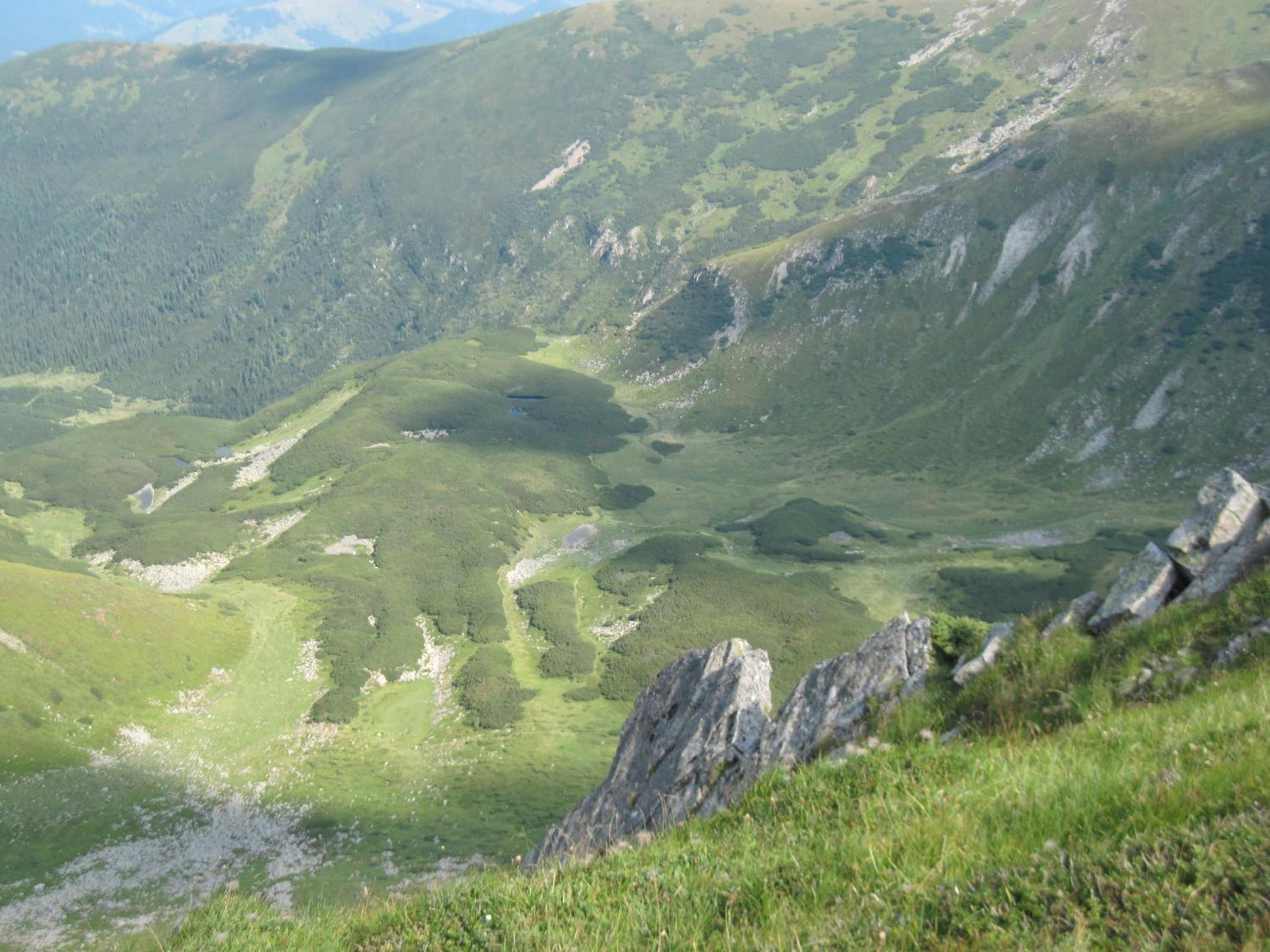 Photo 45