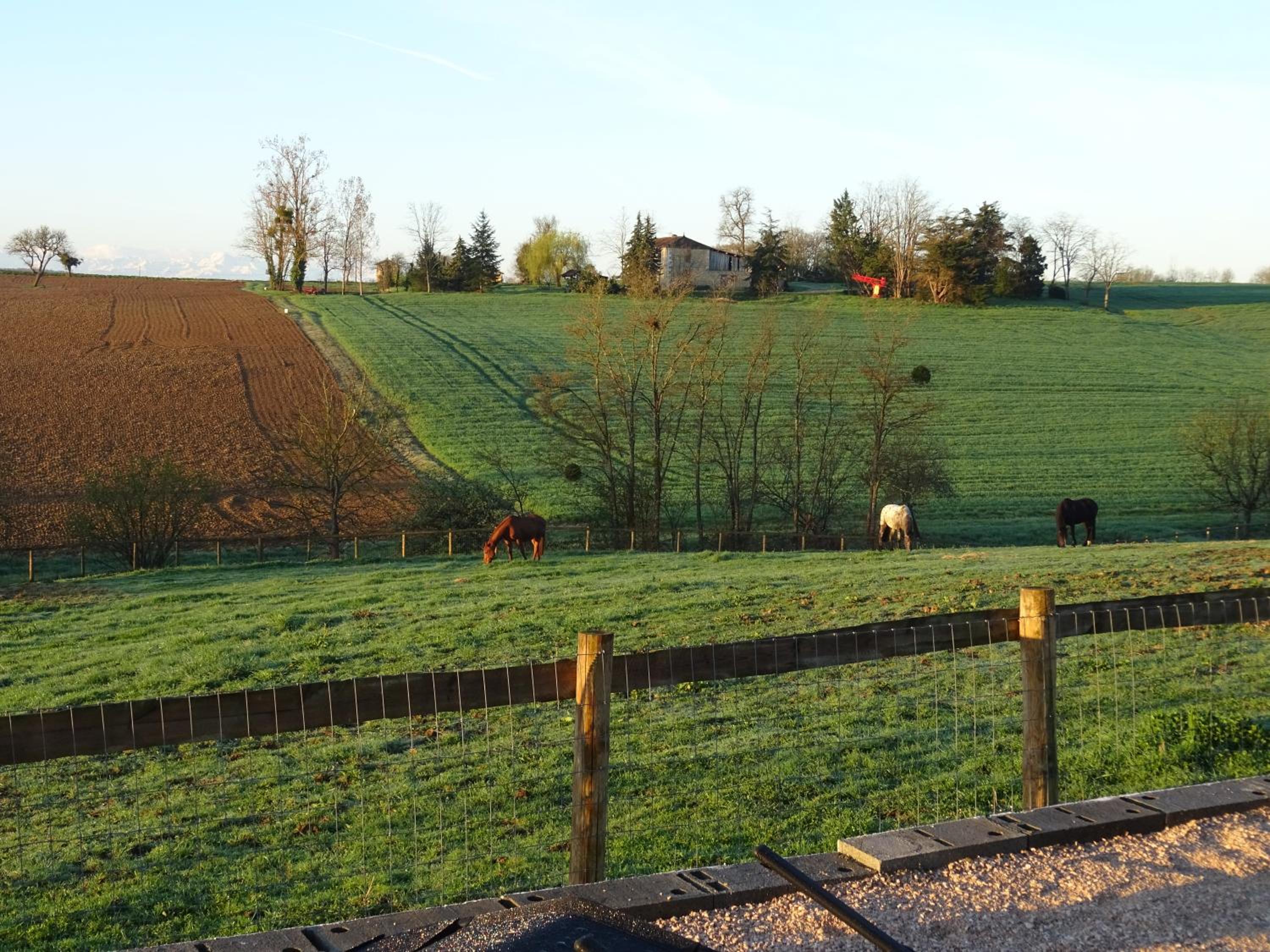 Maison Youkie view 4
