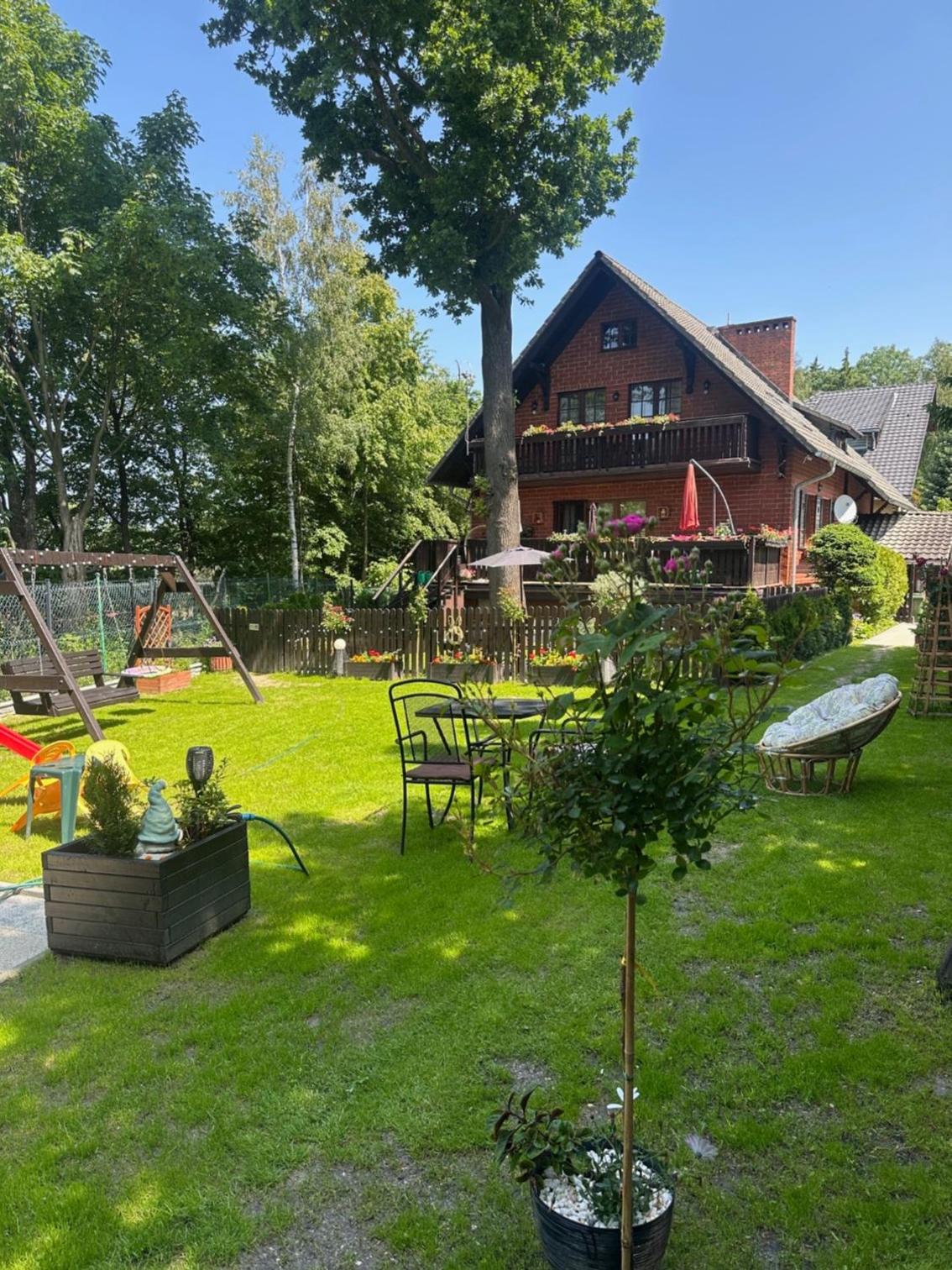 Photo 54