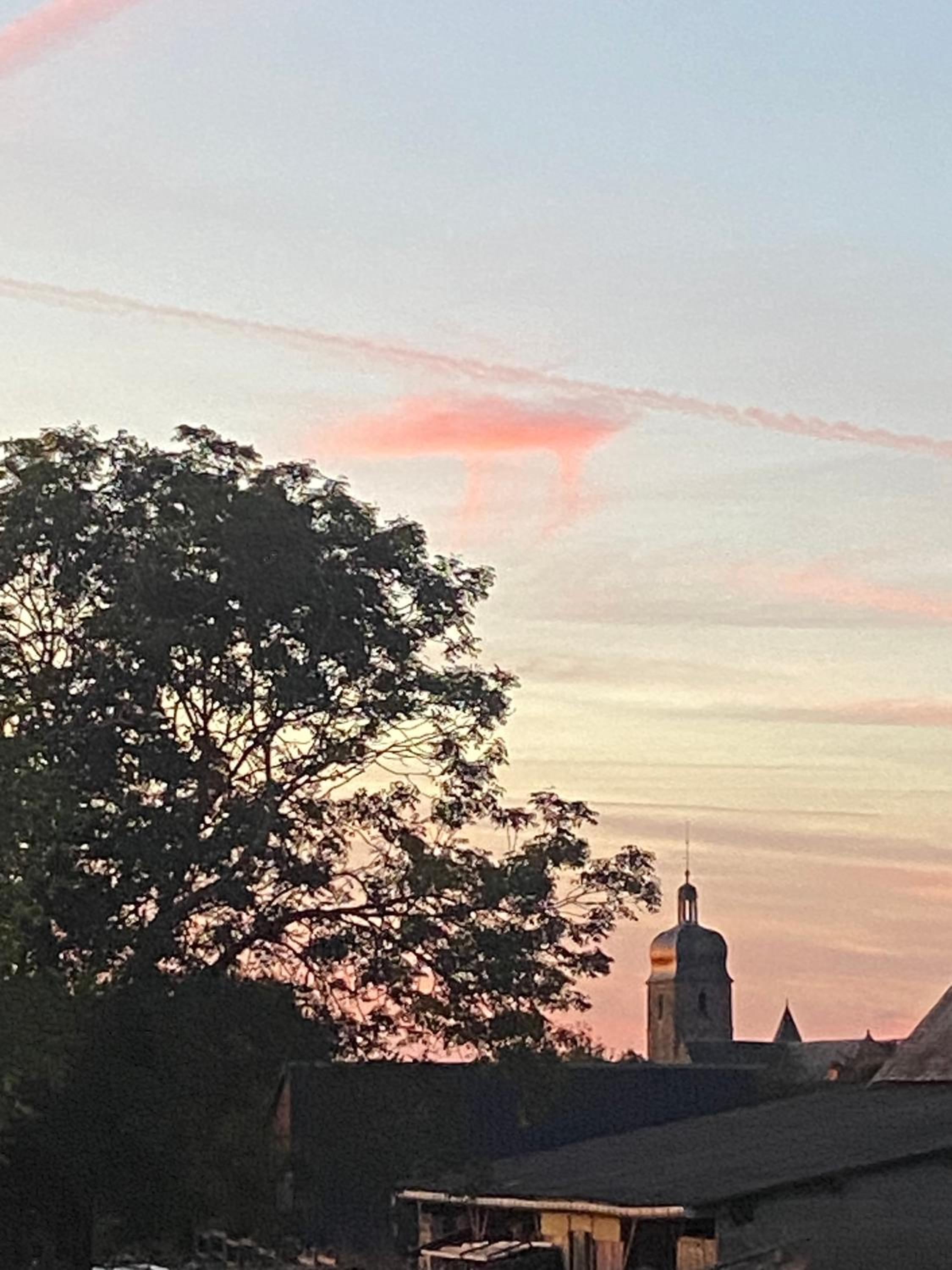 Parenthèse poétique face au Mont-Saint-Michel, entre nature vivante, animaux et petit-déjeuner festin