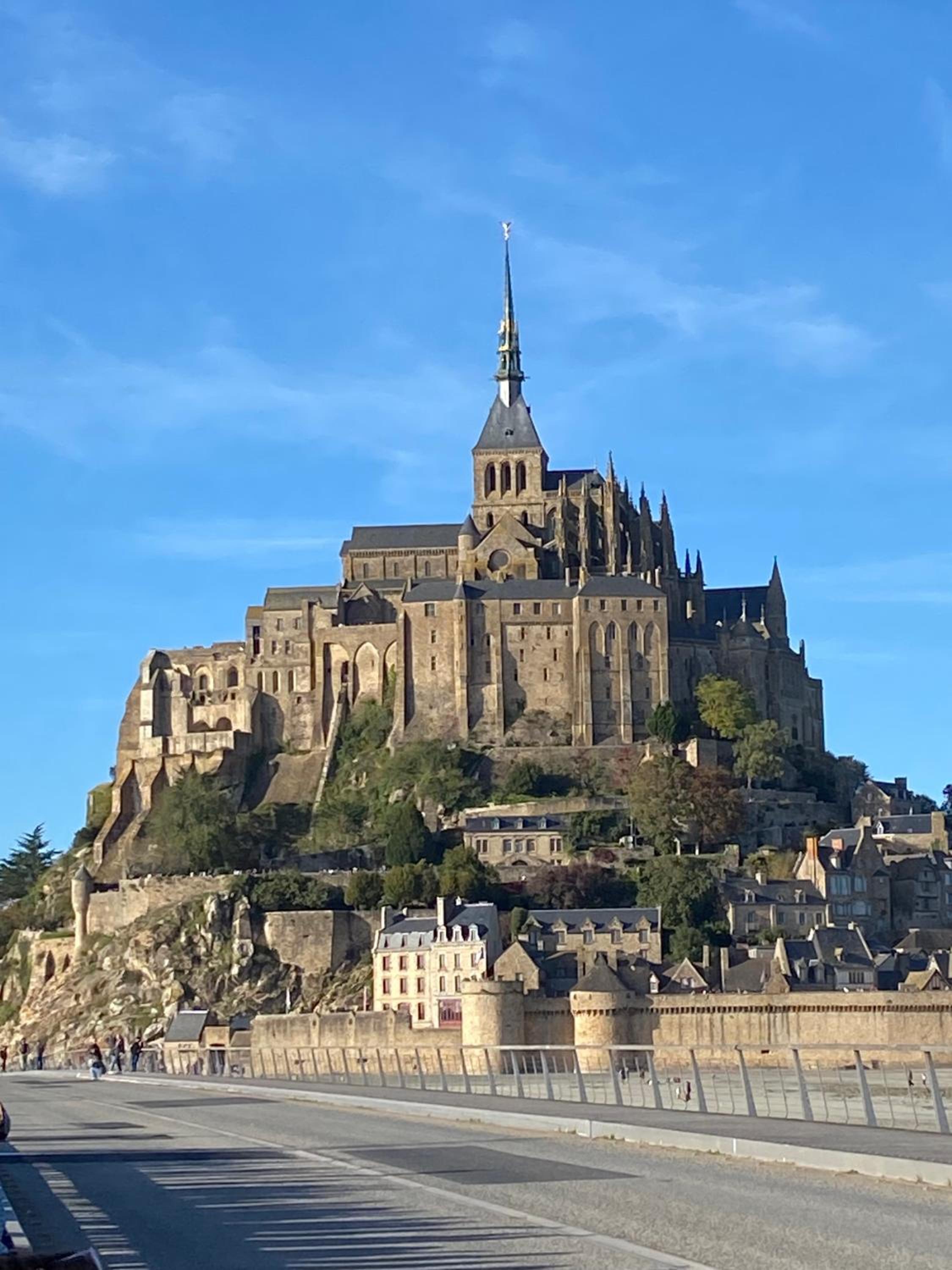 Parenthèse poétique face au Mont-Saint-Michel, entre nature vivante, animaux et petit-déjeuner festin