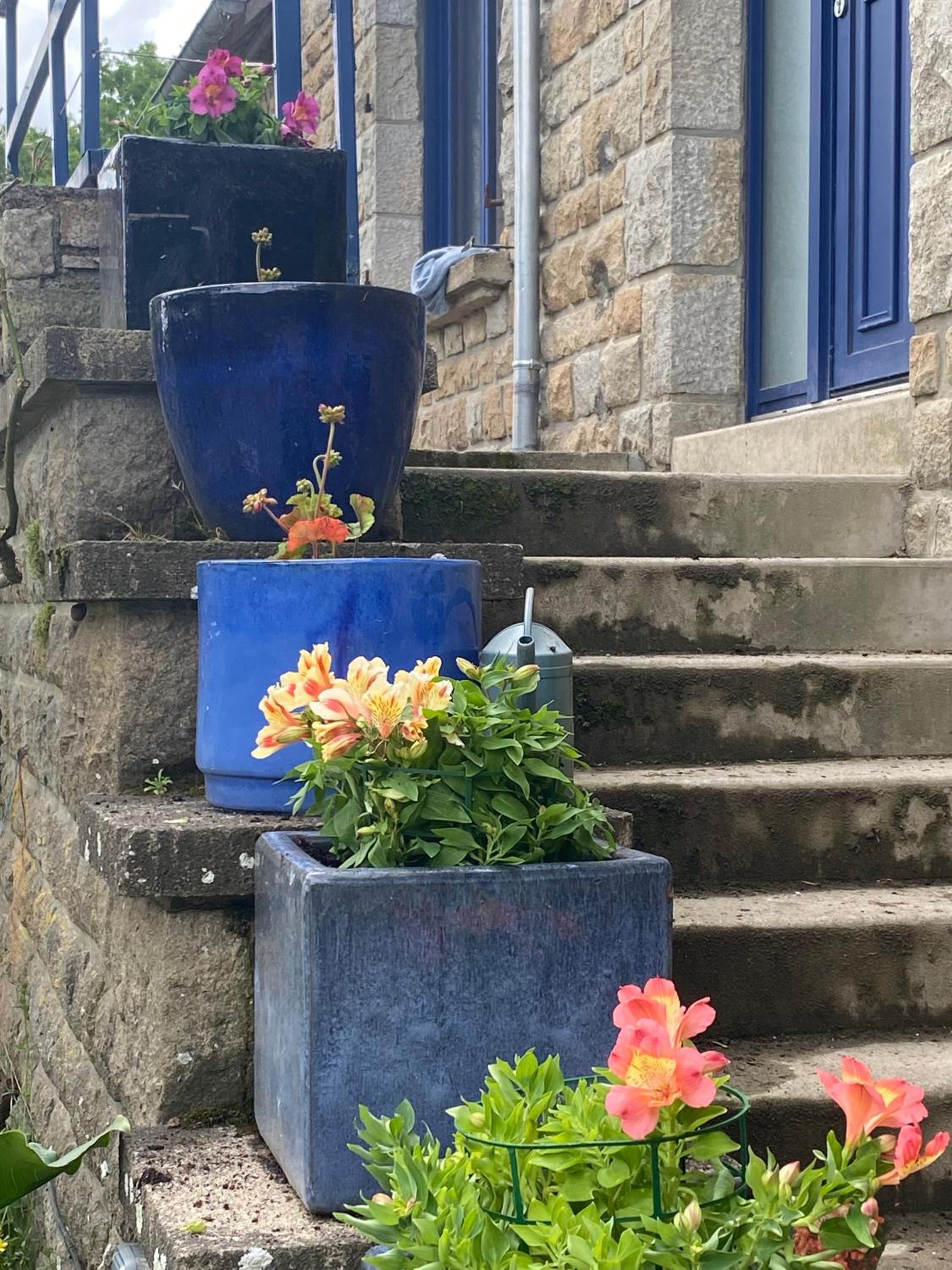 Parenthèse poétique face au Mont-Saint-Michel, entre nature vivante, animaux et petit-déjeuner festin