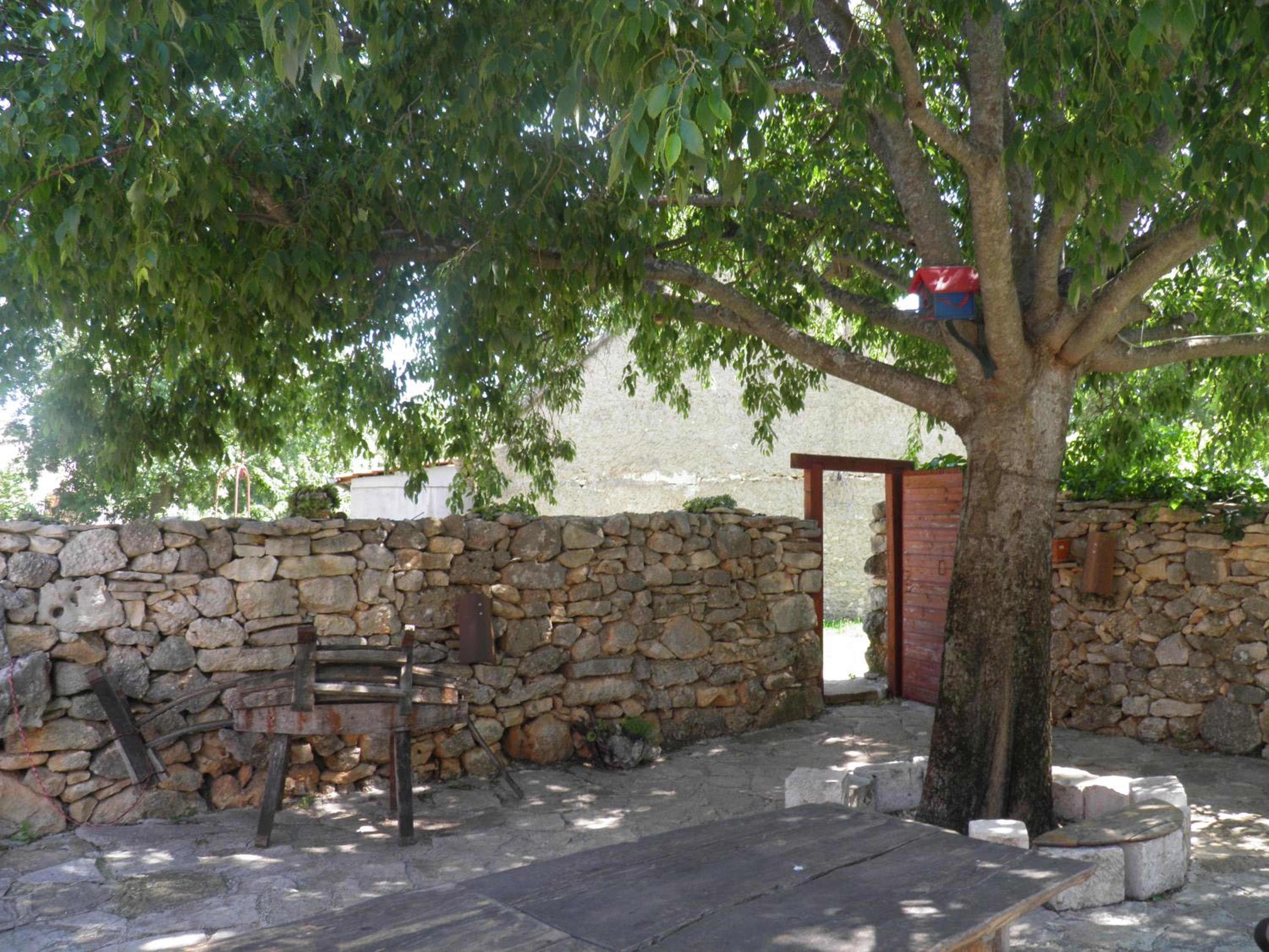 Photo 43