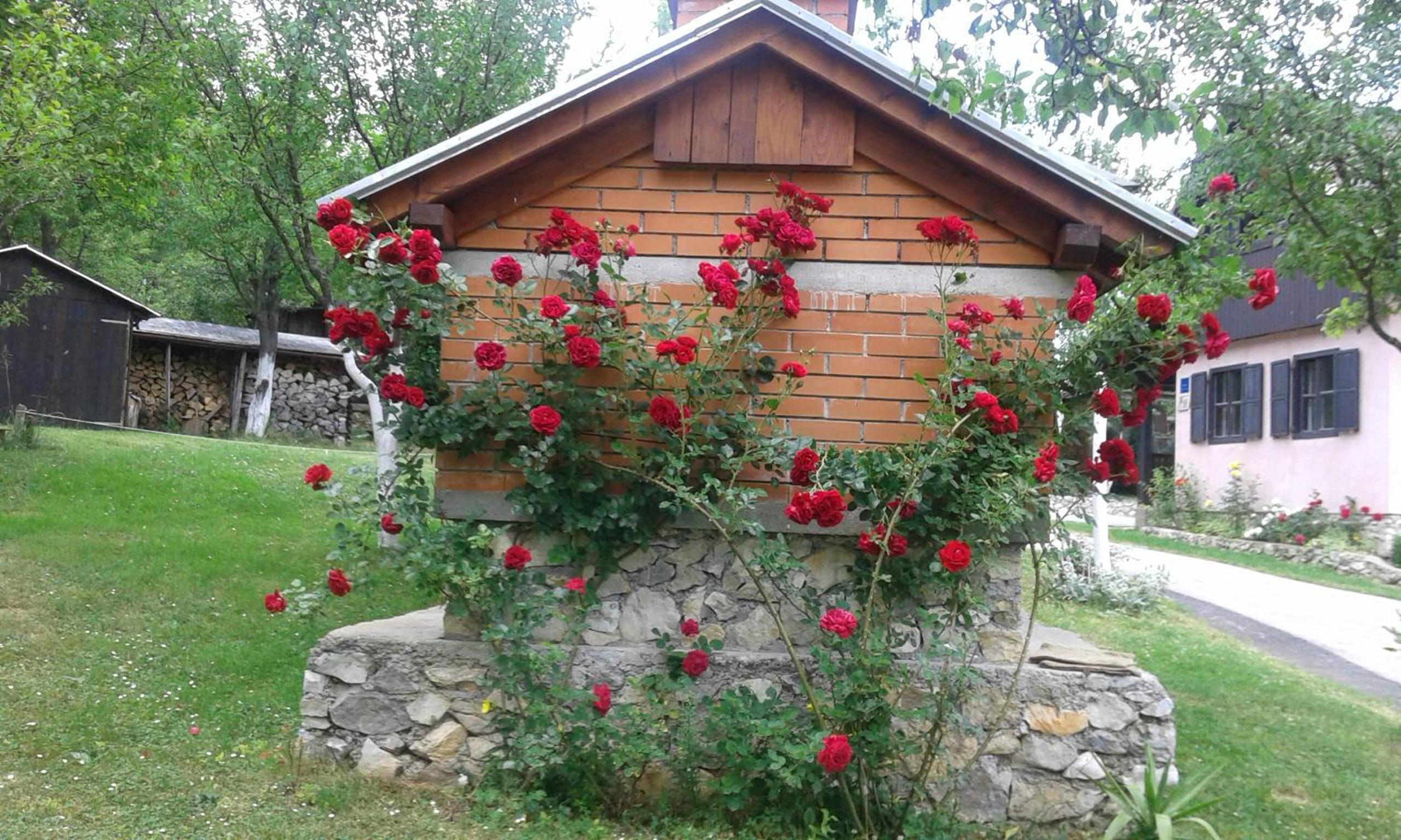 Photo 29