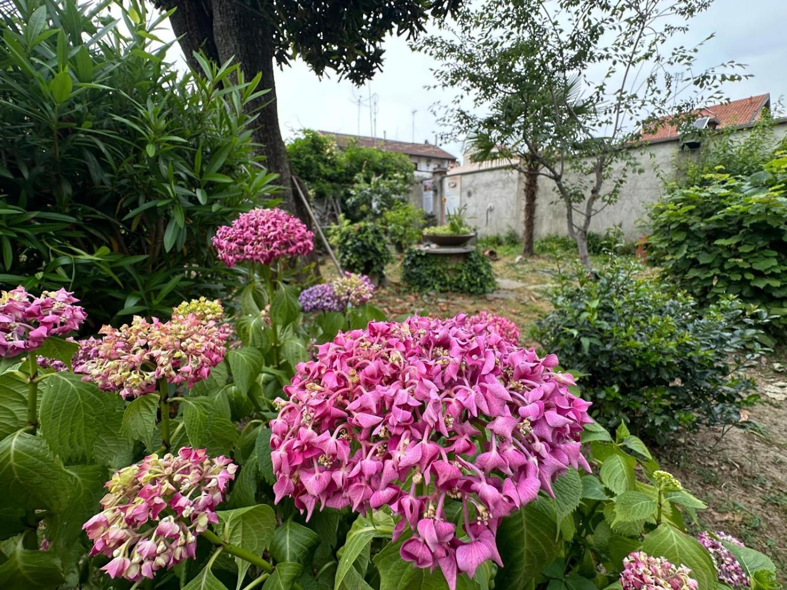 Boutique Apartment Torino - We Can Stay Via Assisi
