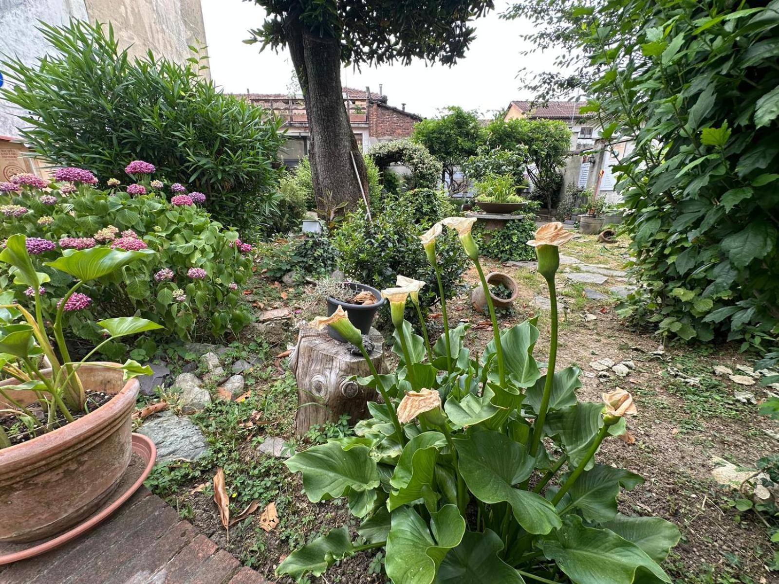 Boutique Apartment Torino - We Can Stay Via Assisi