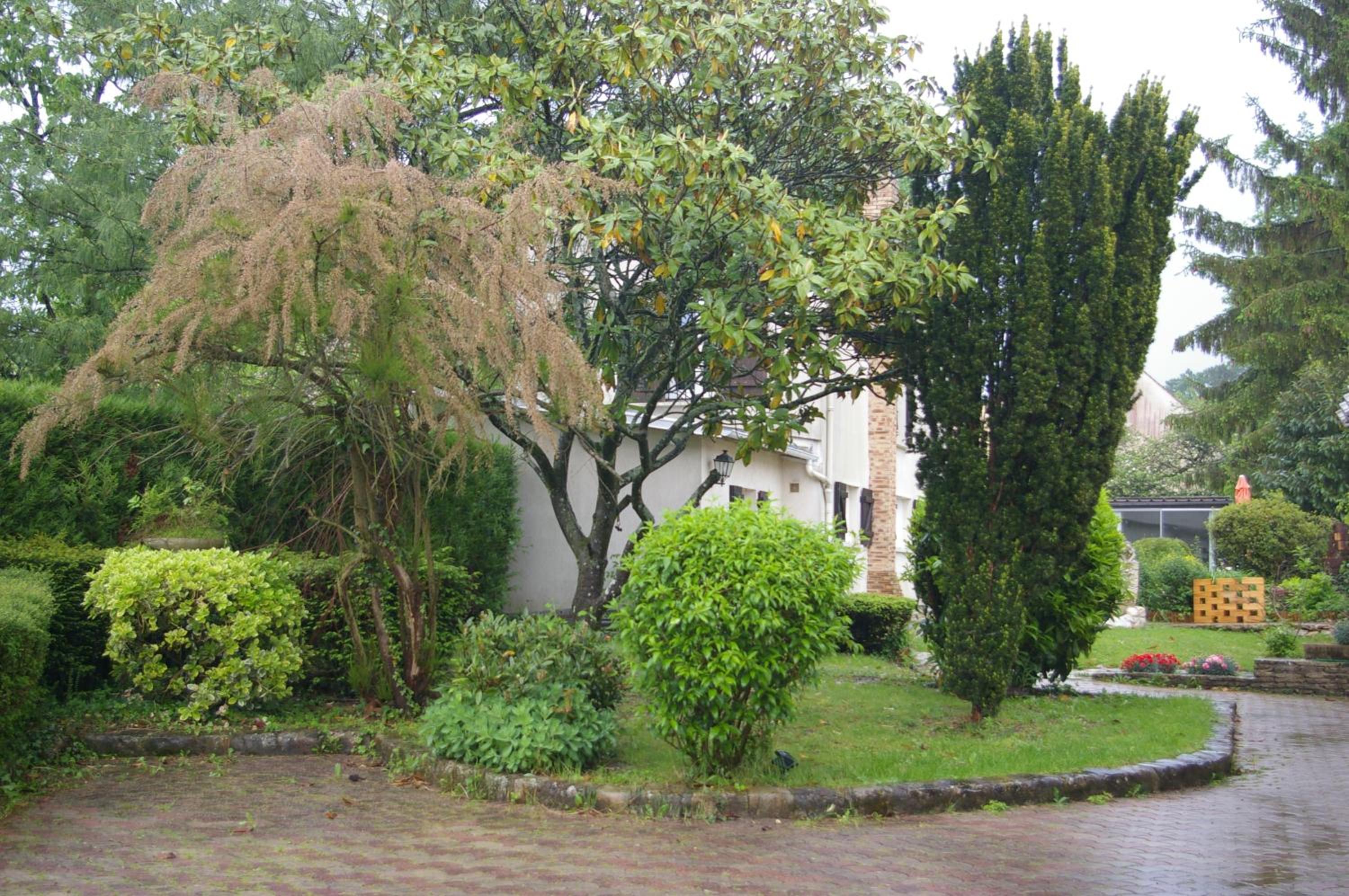 Juniper House view 3