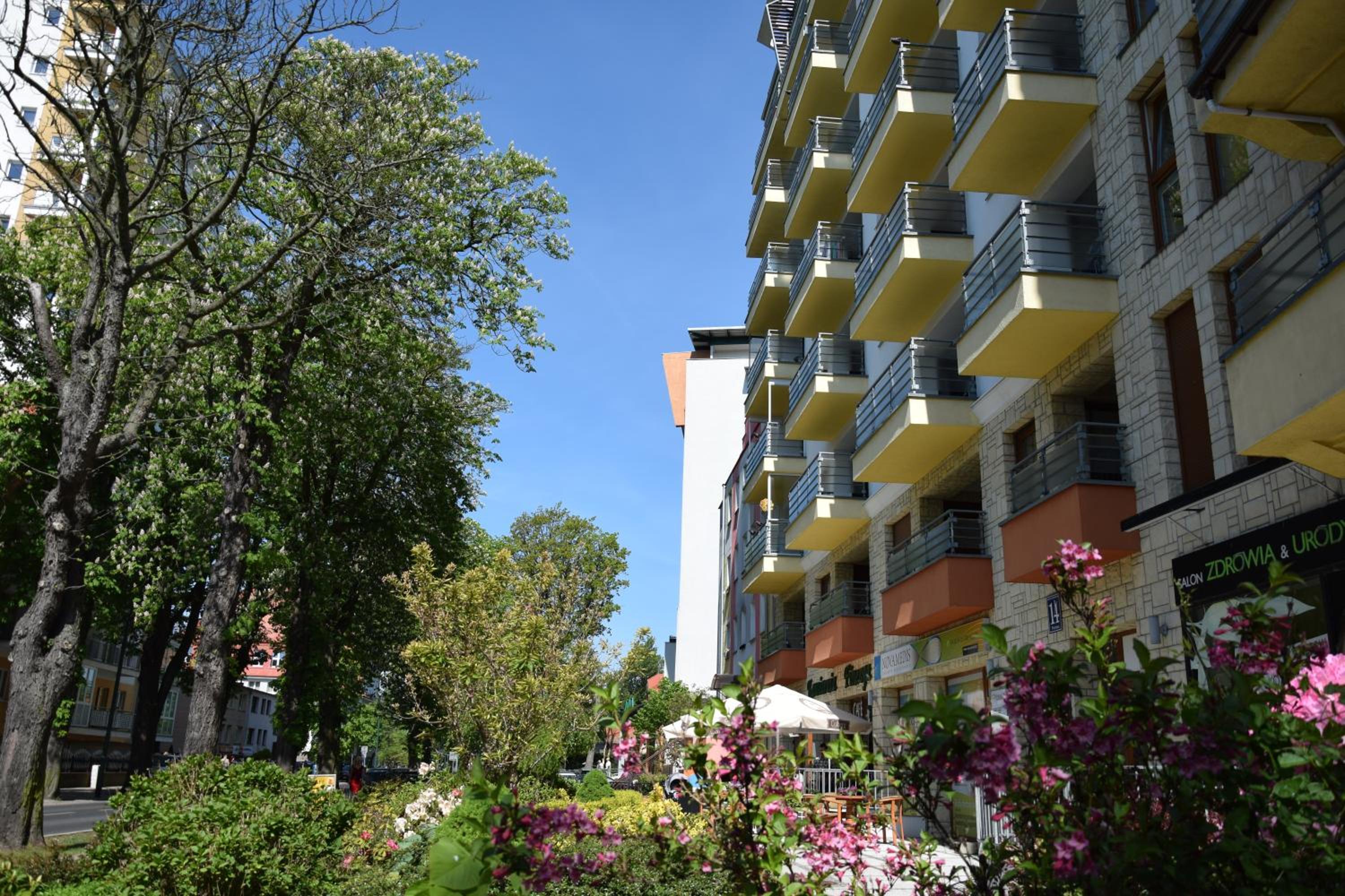 APT Nadmorskie - duże apartamenty blisko molo i plaży view 2