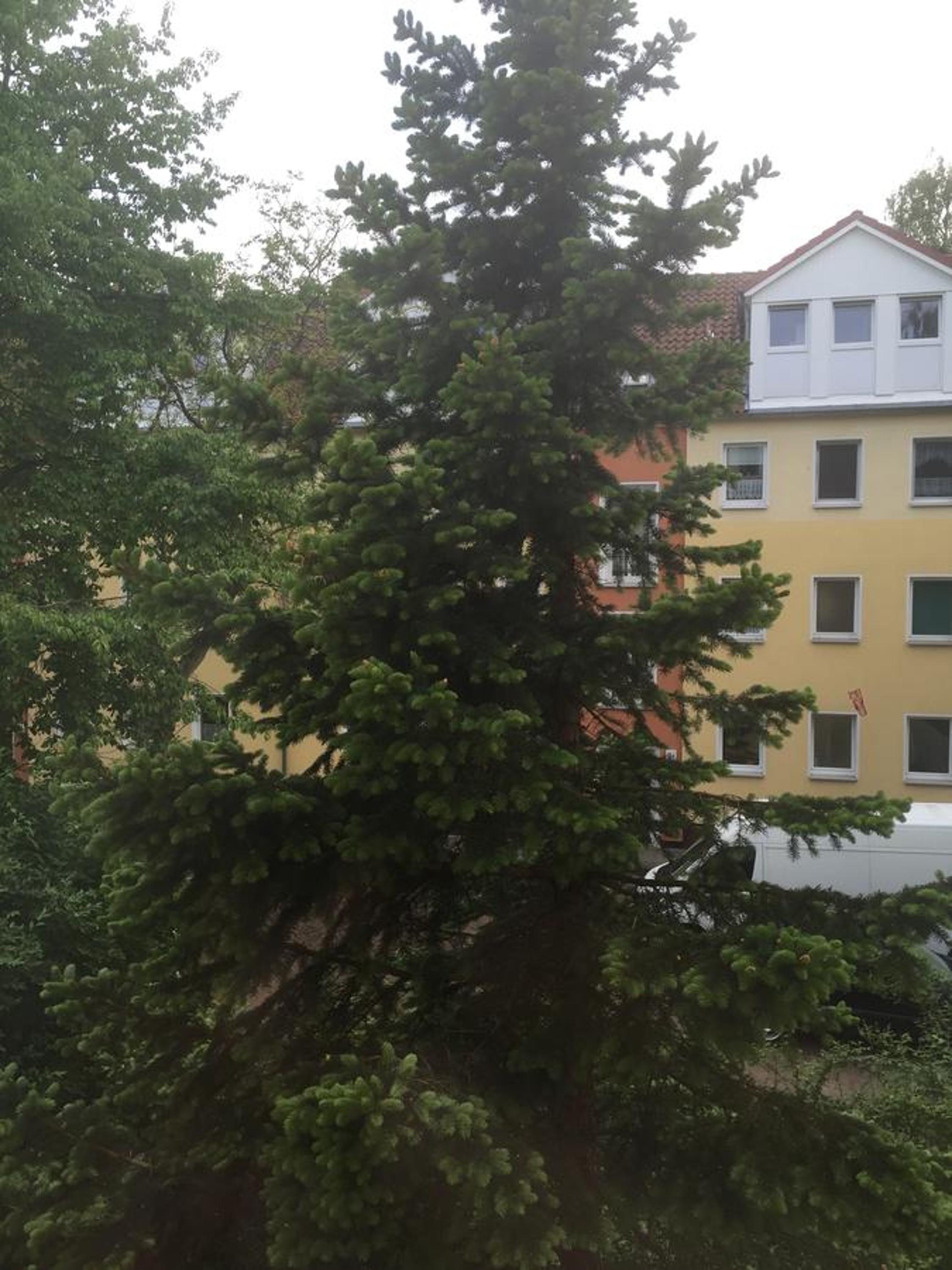 Apartment Hannover / Messe