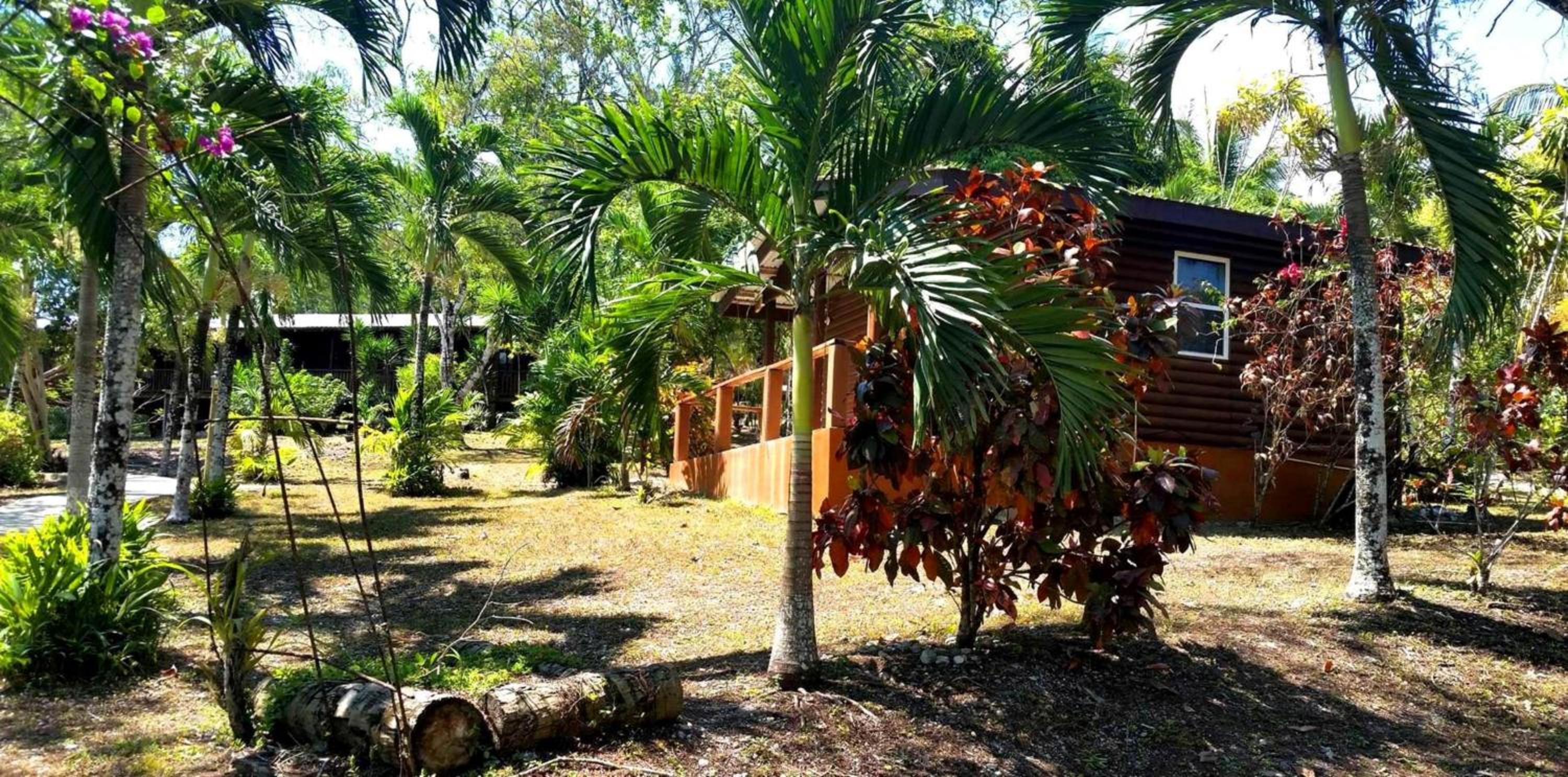 The Log Cab-Inn
