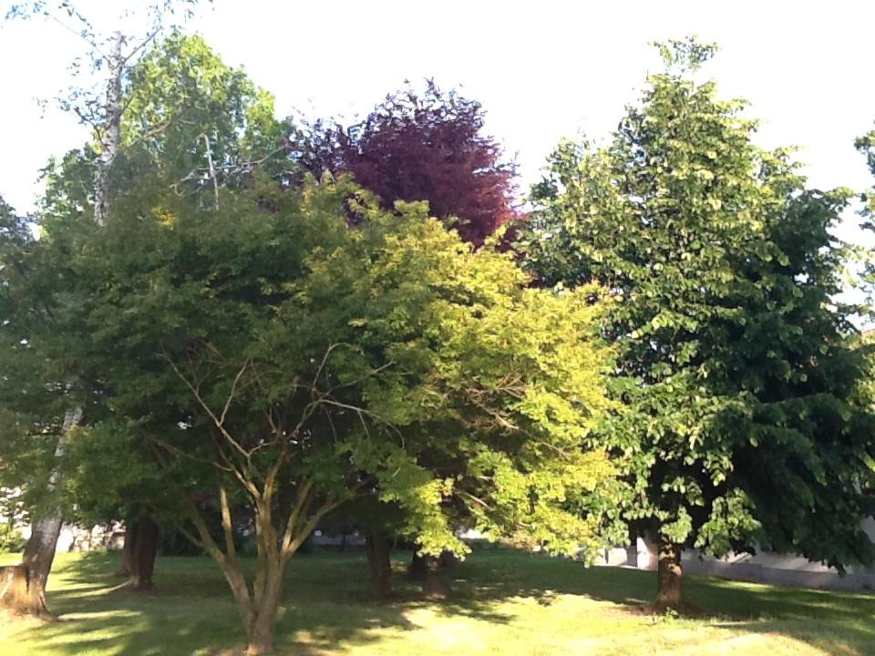 Photo 51