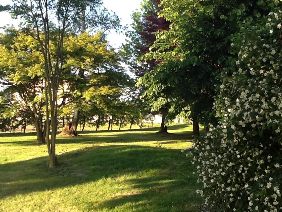Photo 32