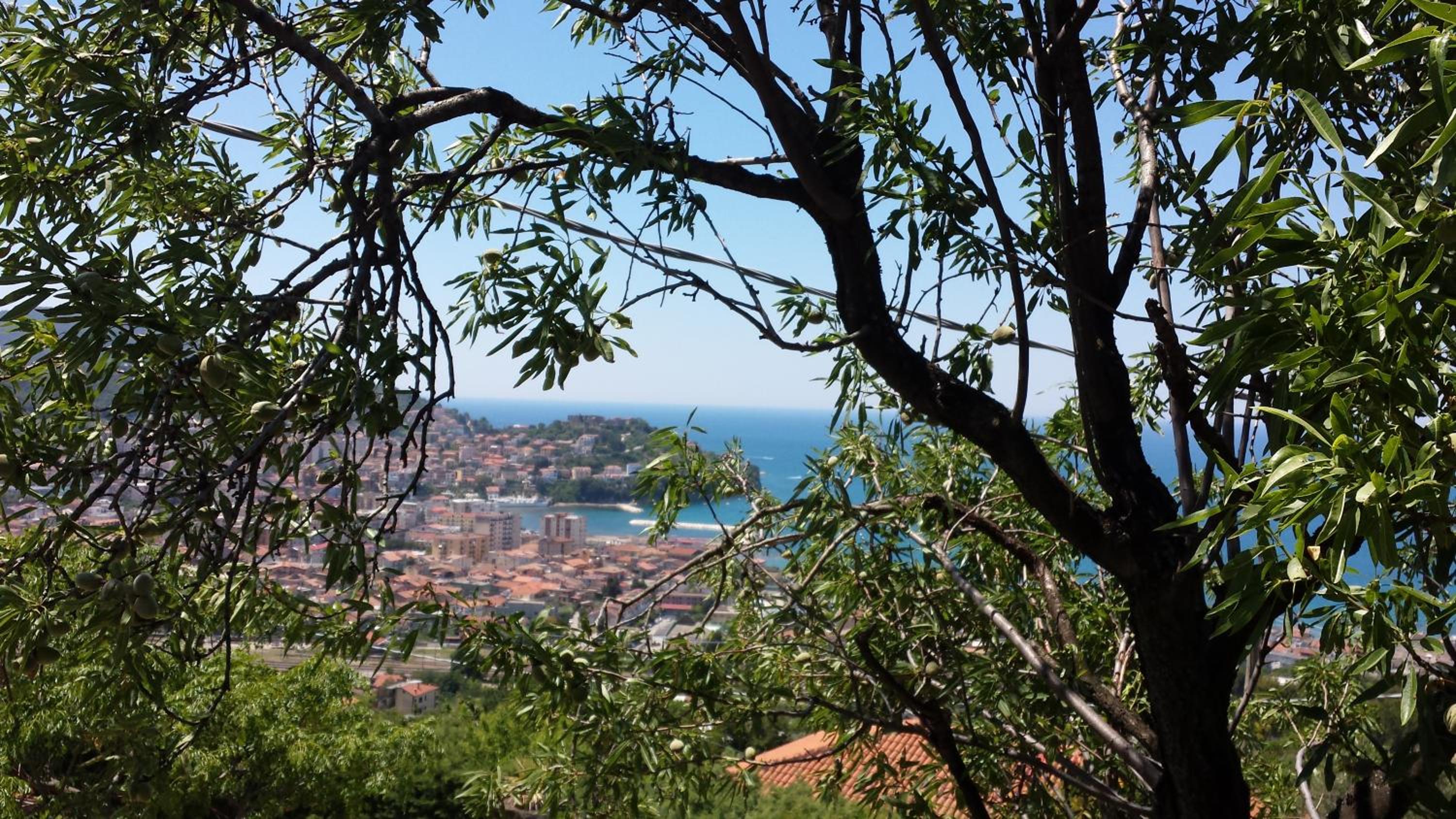 Villa Malandrino Guest House