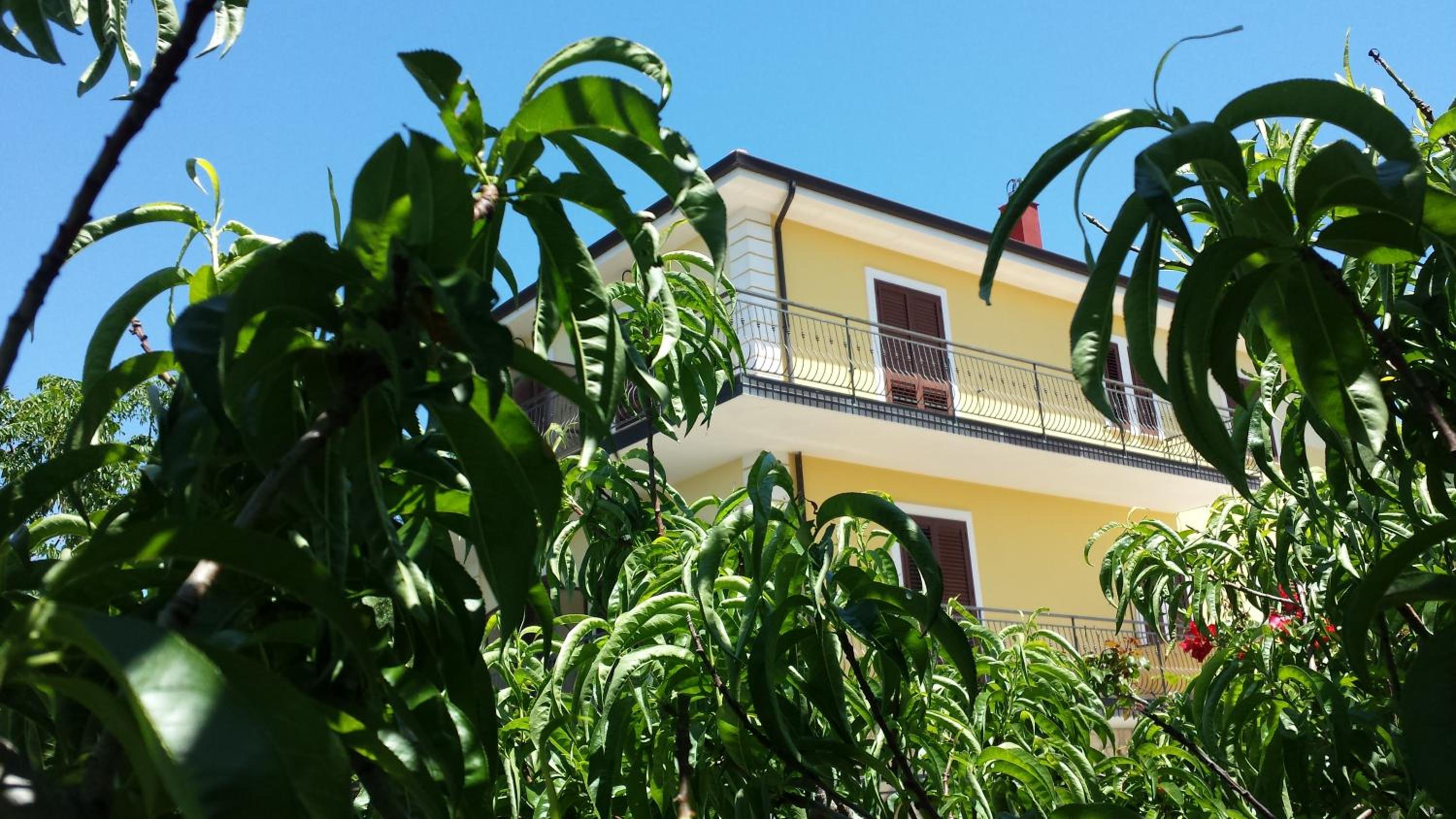 Villa Malandrino Guest House