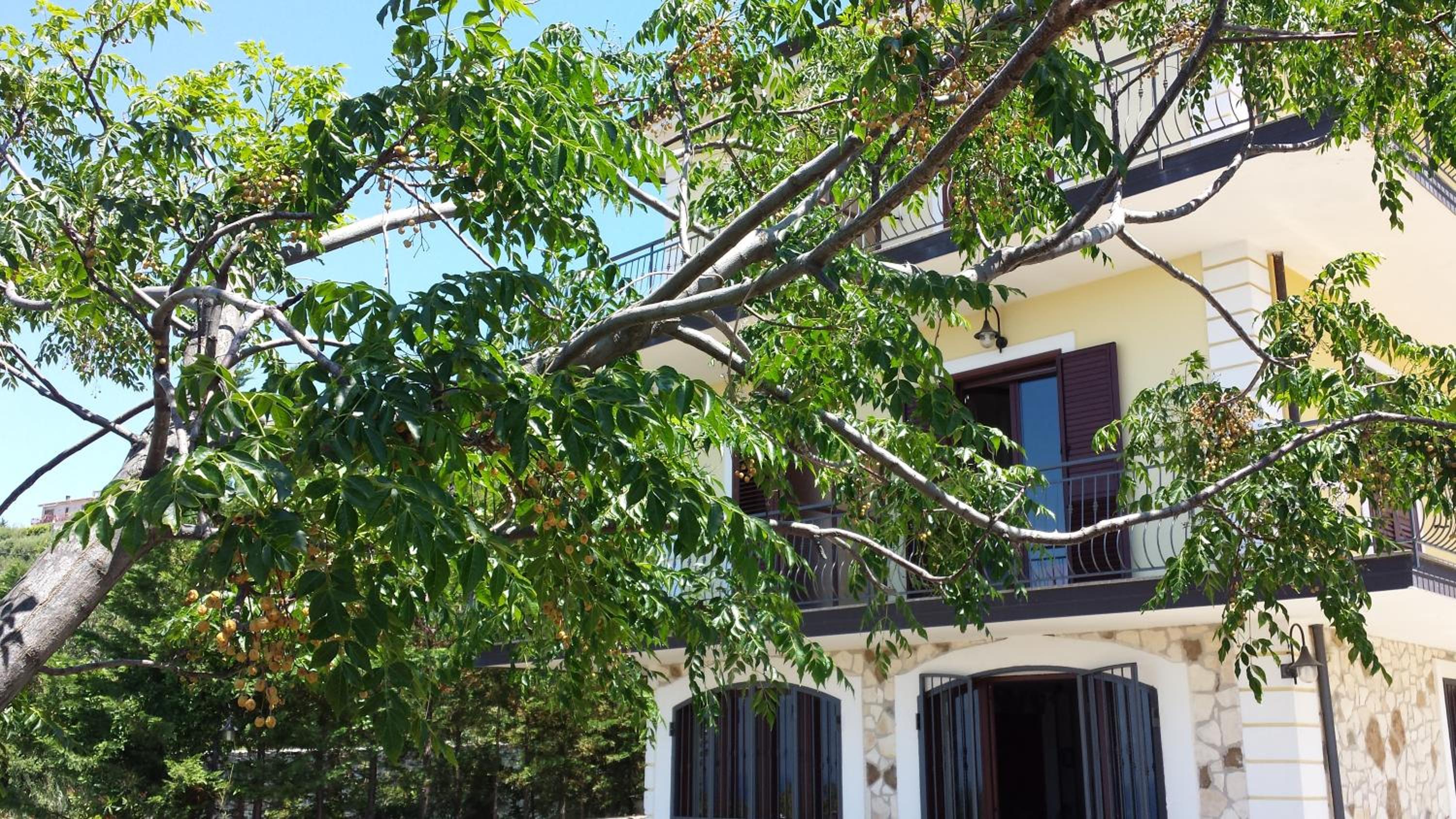 Villa Malandrino Guest House