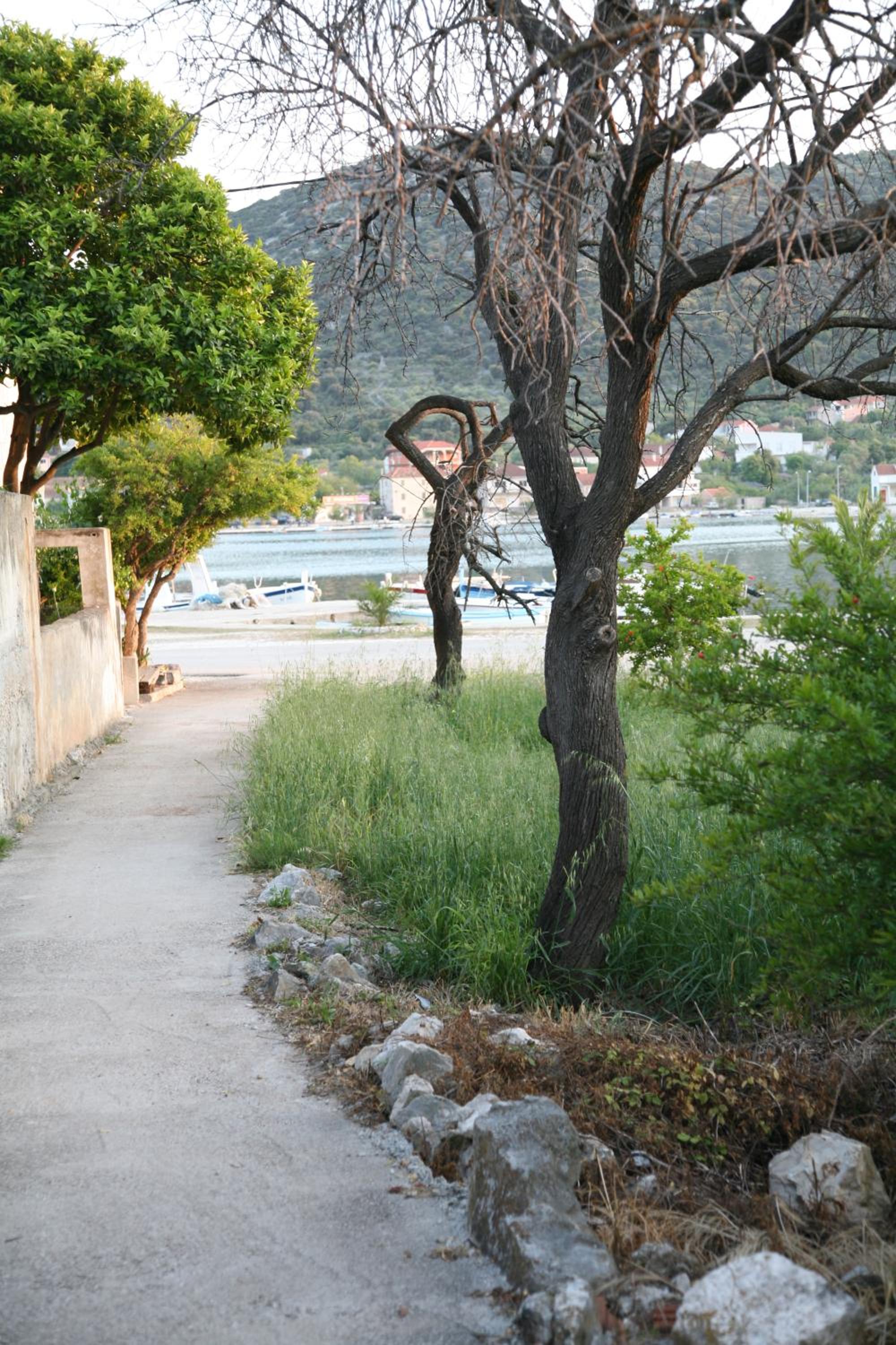 Photo 51